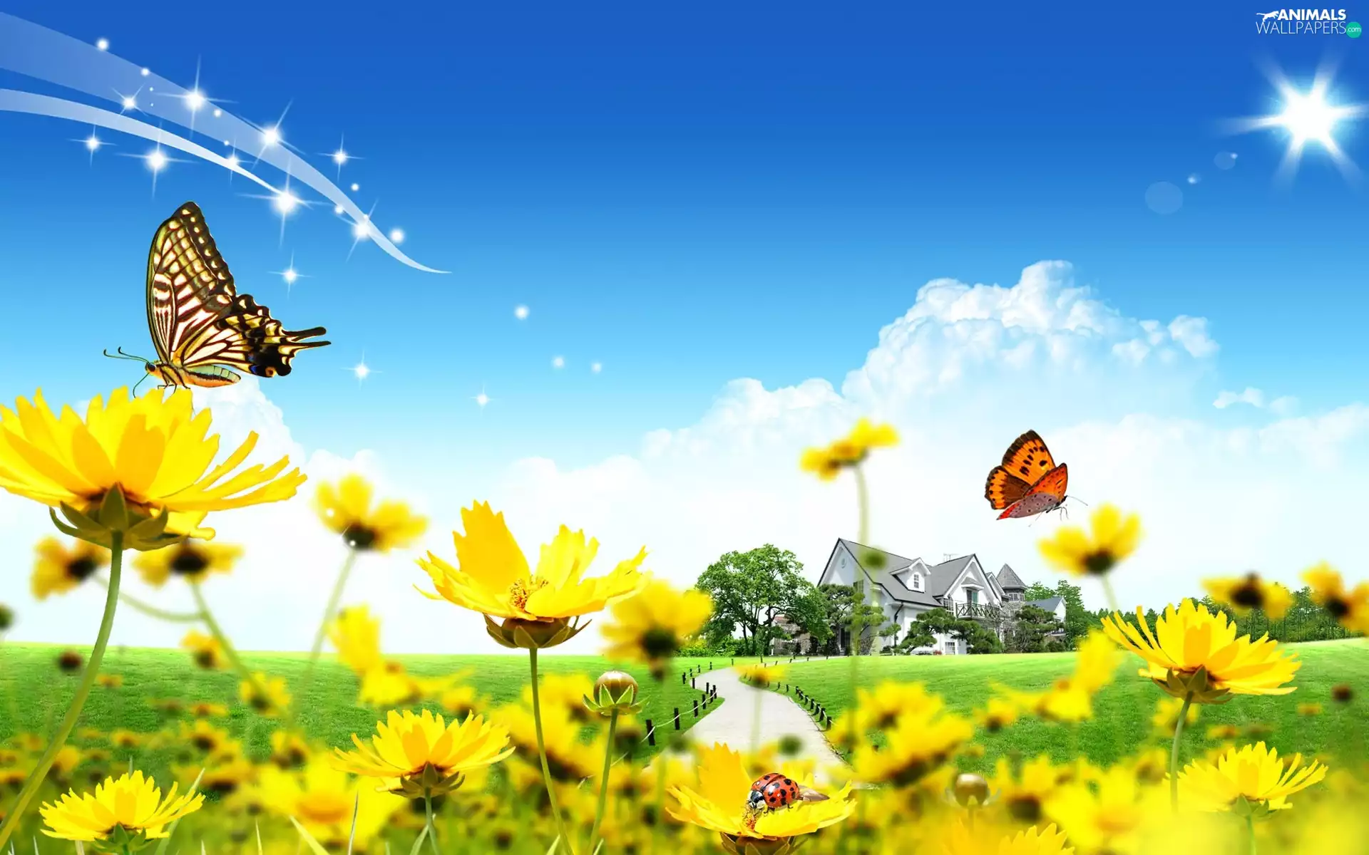 butterfly, Ladybug 2D Graphic, Yellow, Flowers, Spring