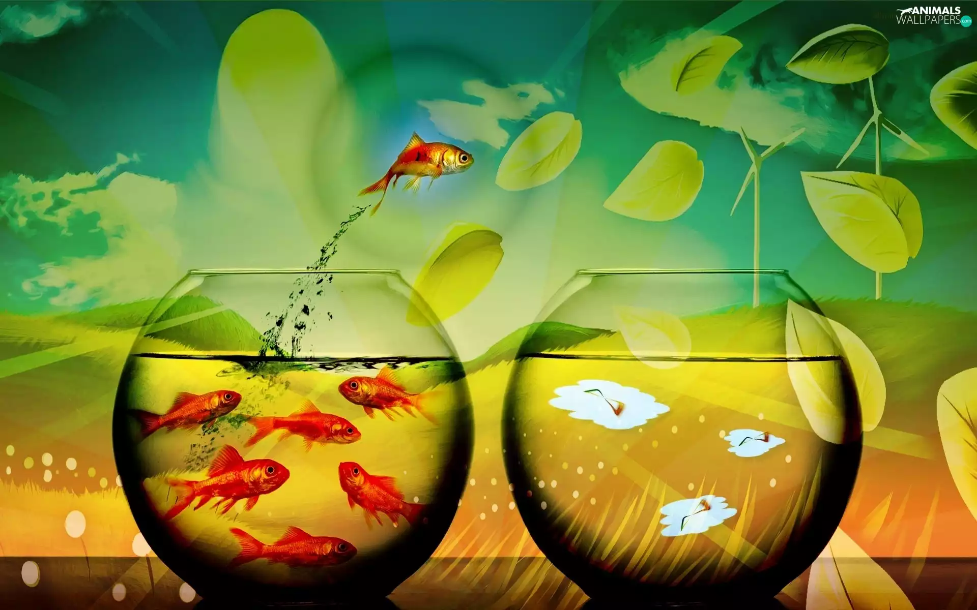 fishes, graphics, Aquariums, Golden, Spherical