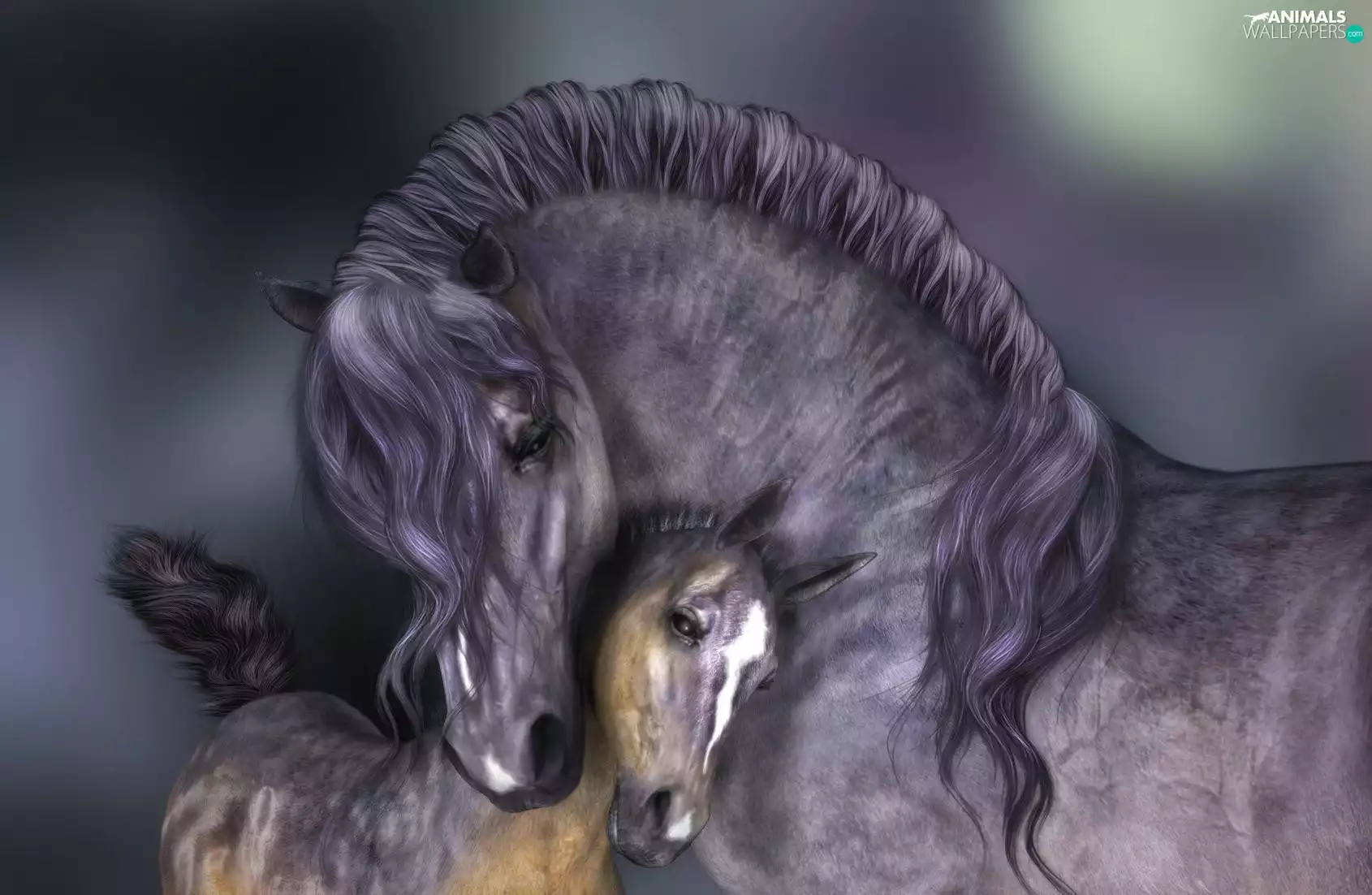 graphics, bloodstock