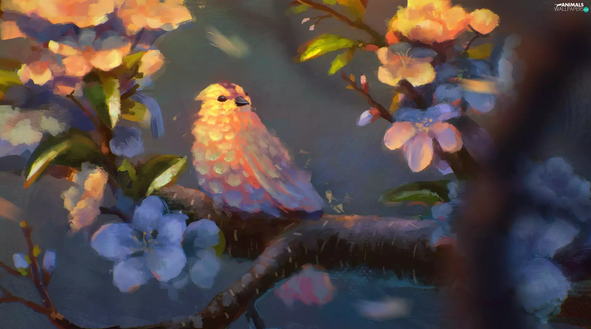 Flowers, graphics, branch, Leaf, Bird