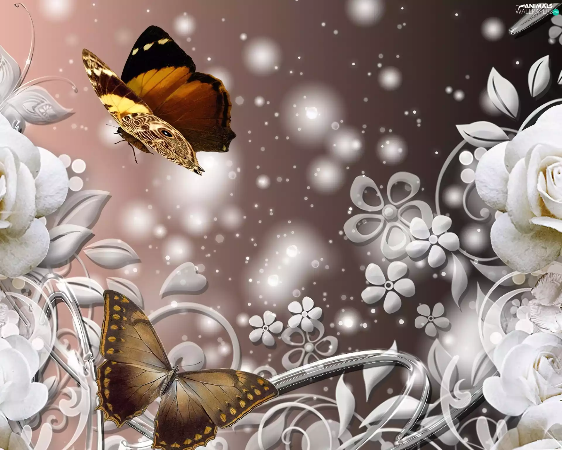 graphics, Flowers, butterflies