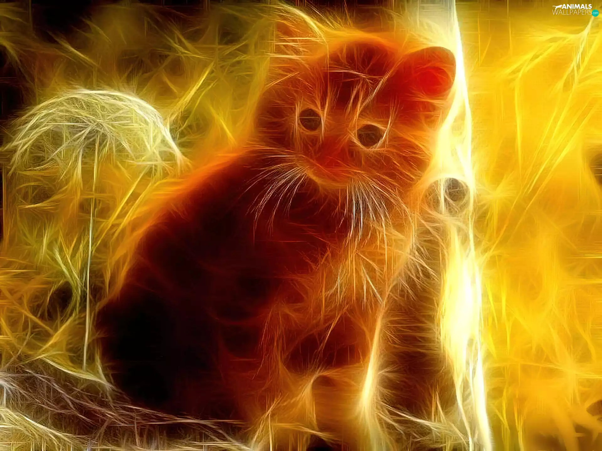 graphics, ginger, cat