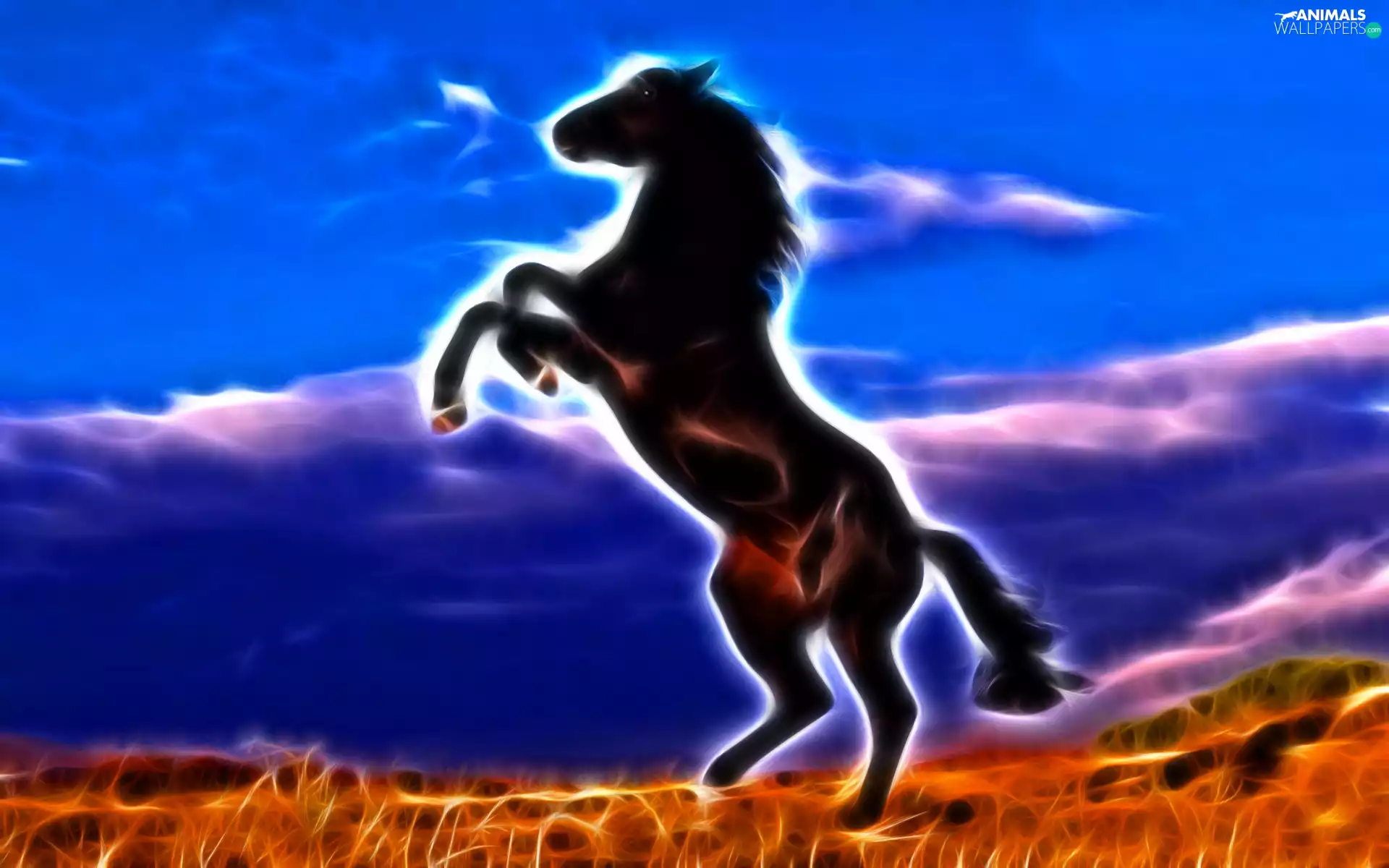 graphics, Horse, clouds