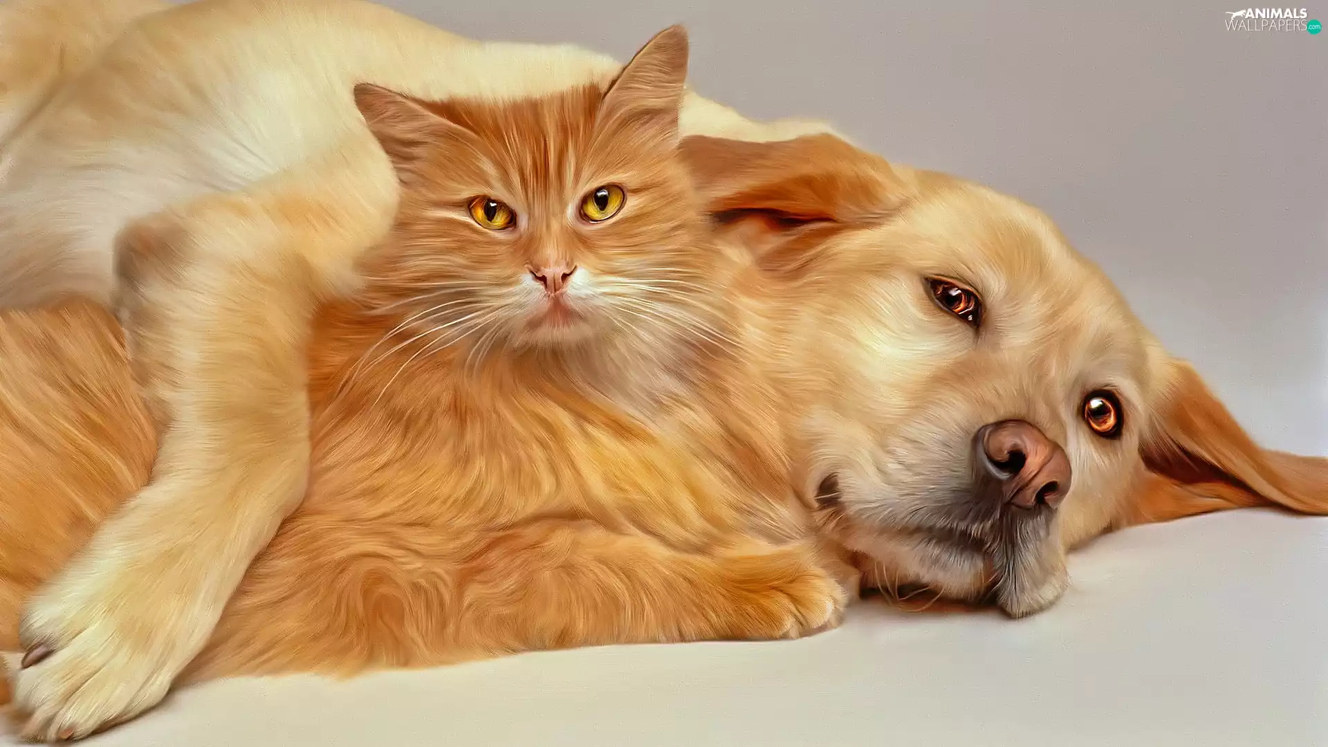 cat, graphics, dog, ginger, lying