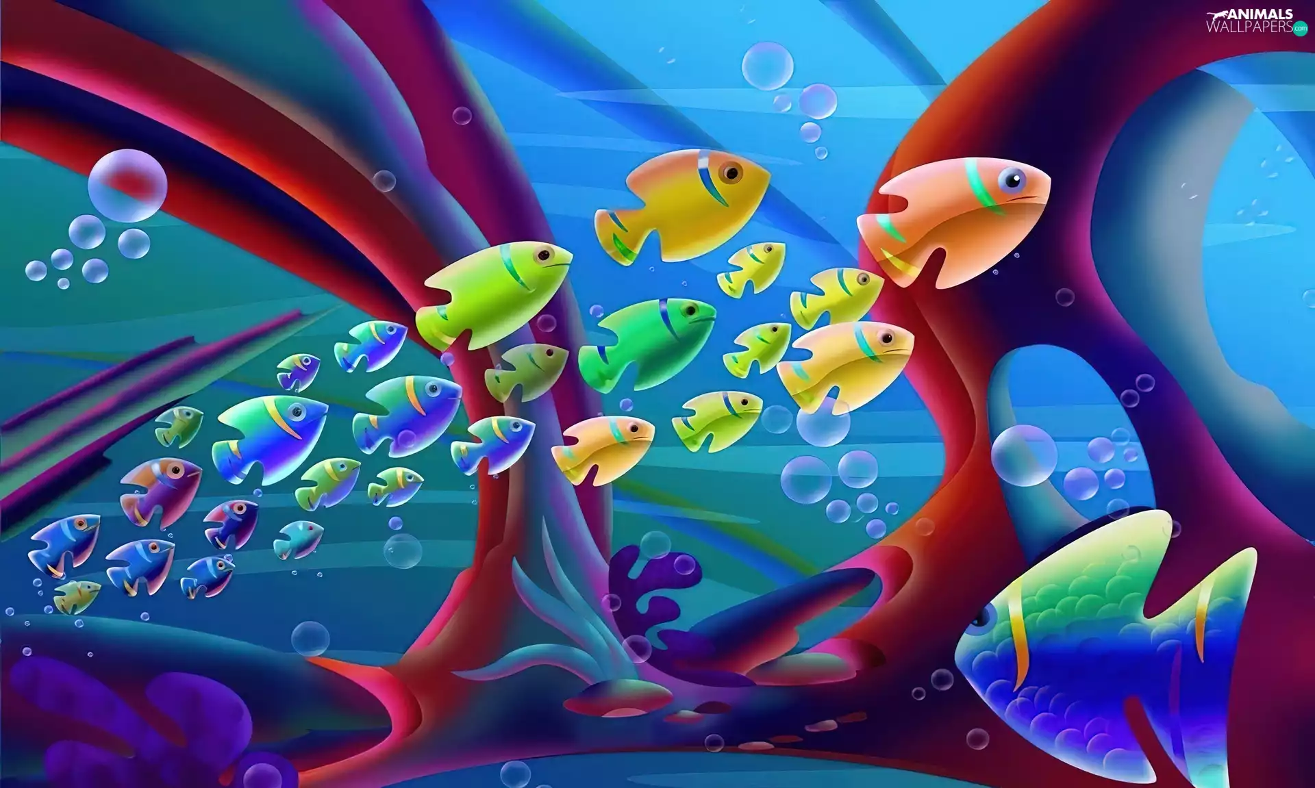 graphics, color, fishes