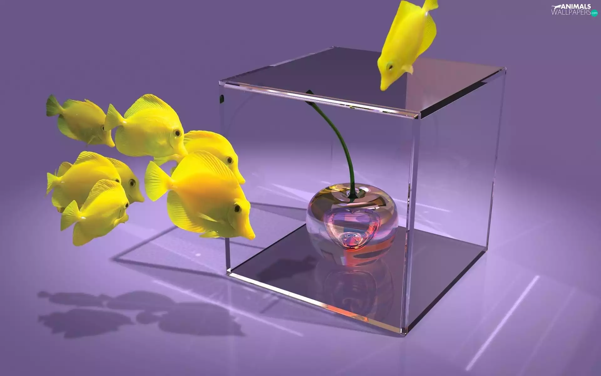 3D Graphics, fishes, cherry, Yellow