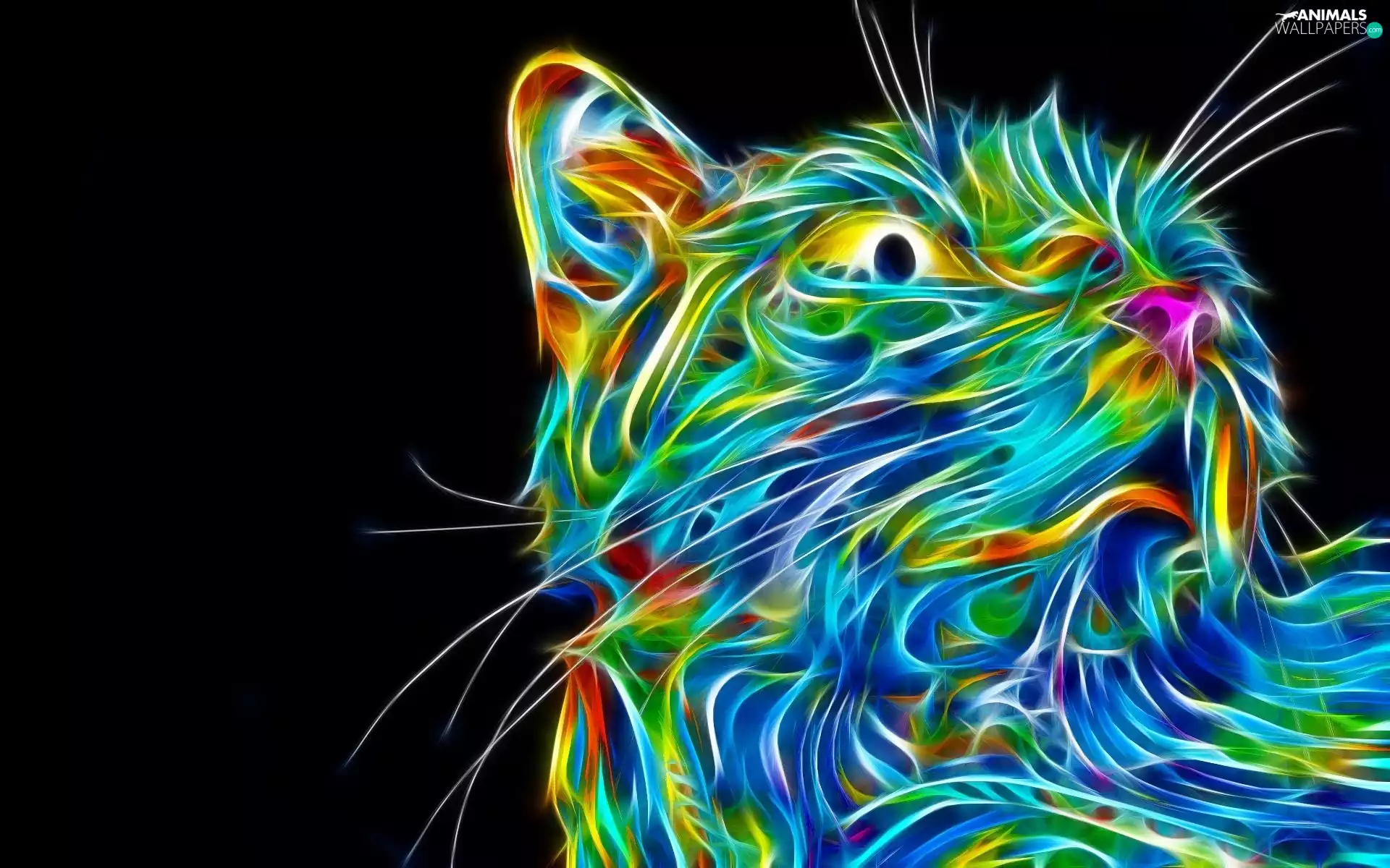 graphics, cat, Fractalius