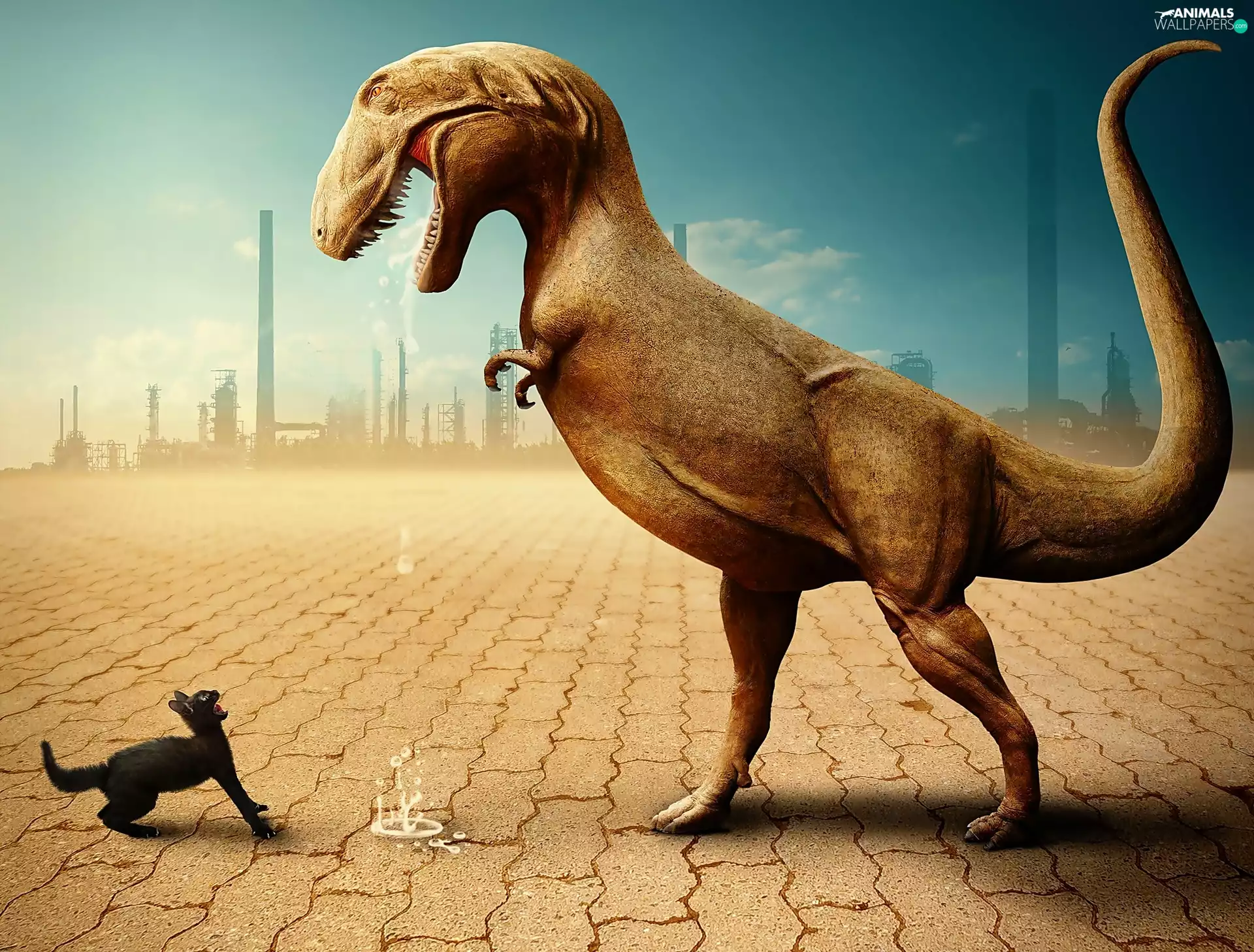 Funny, dinosaur, cat, graphics