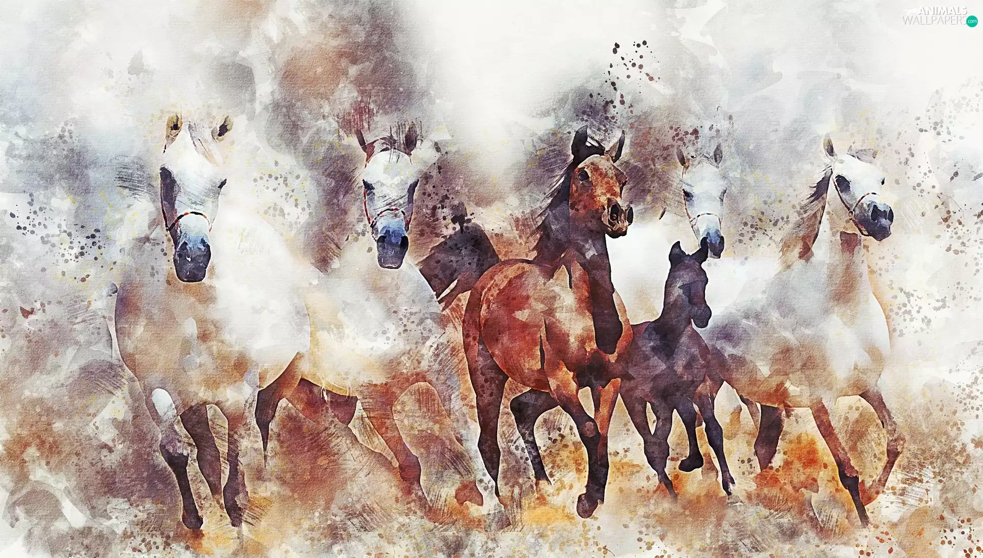 graphics, bloodstock, gallop