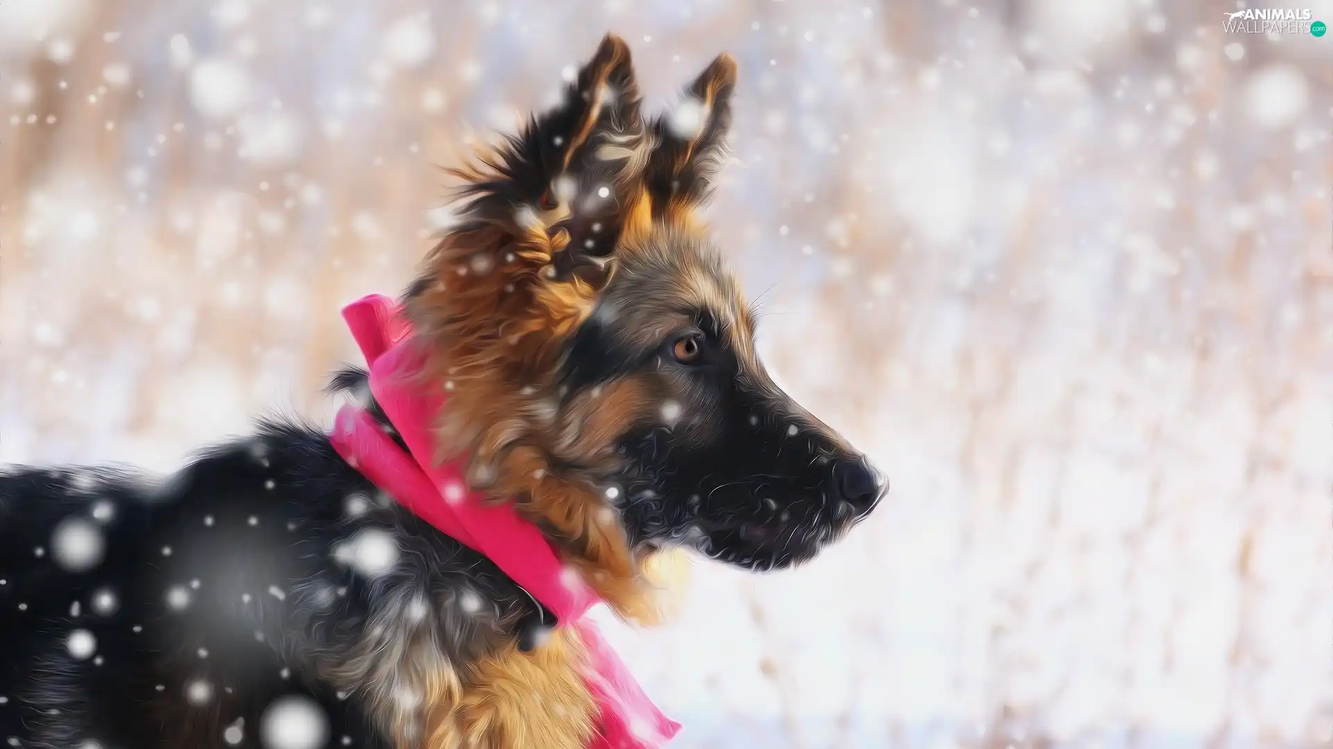 Puppy Snow Graphics German Shepherd Animals Wallpapers 1920x1080