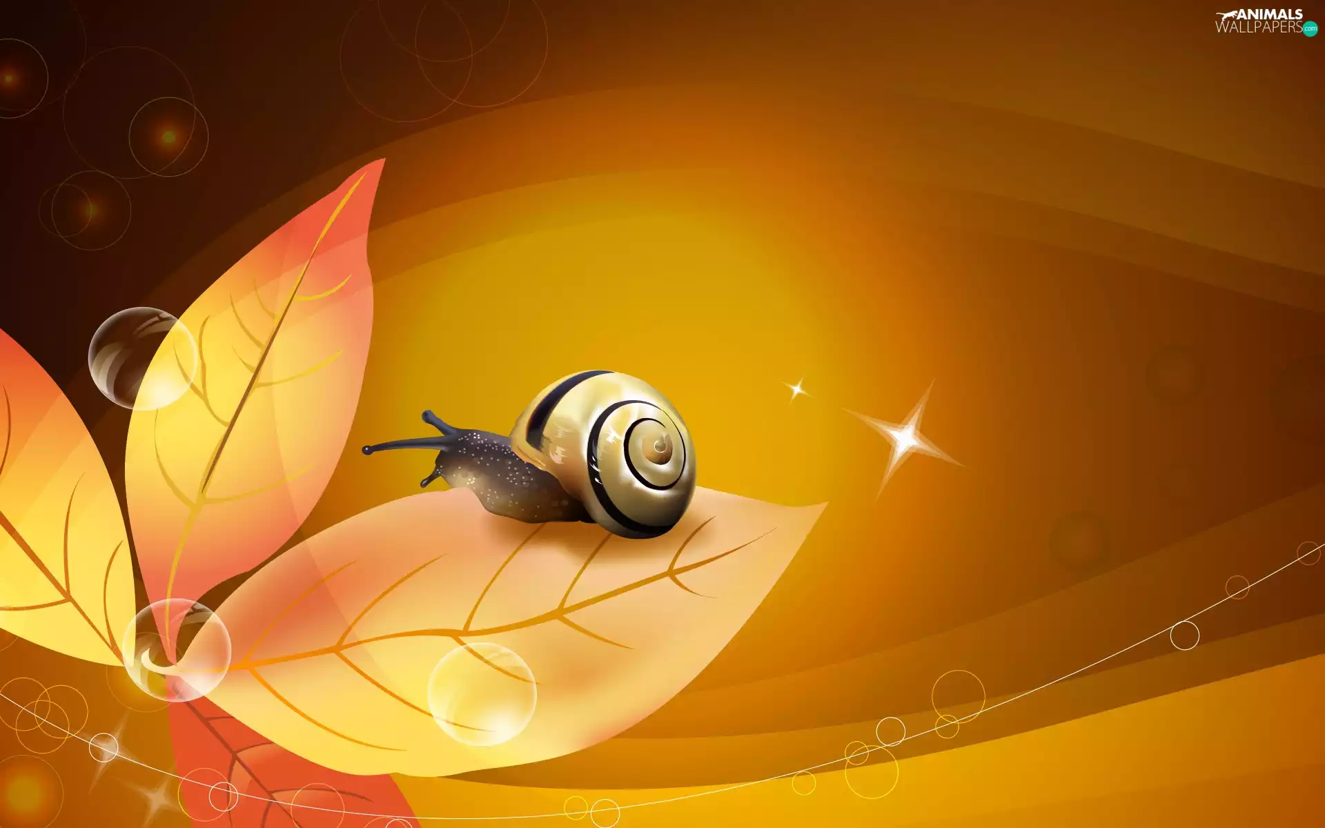 graphics, snail, leaf