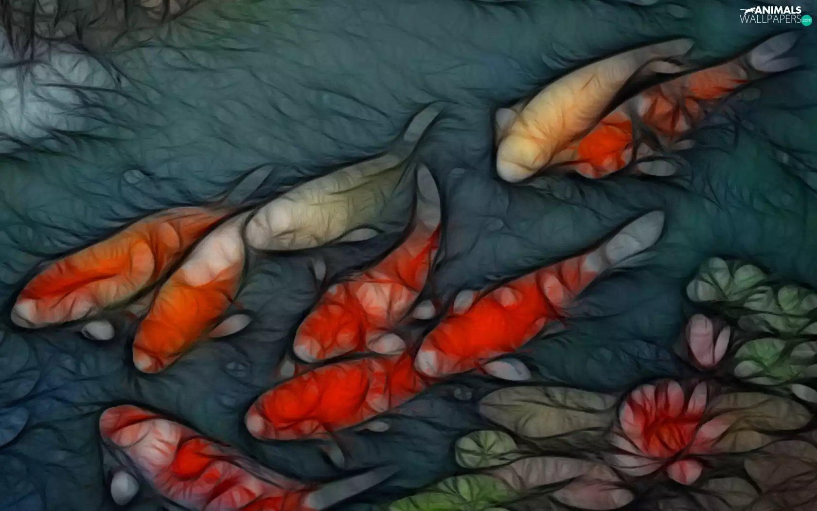 graphics, fish, lilies