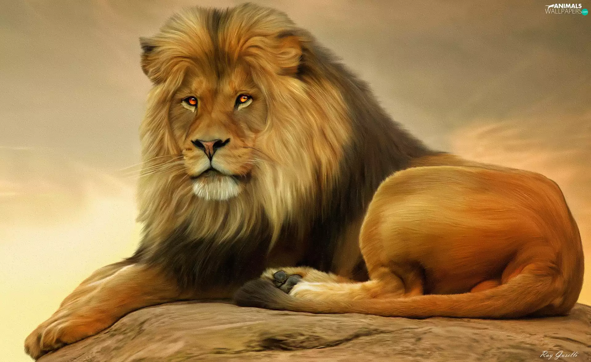 graphics, lying, Lion