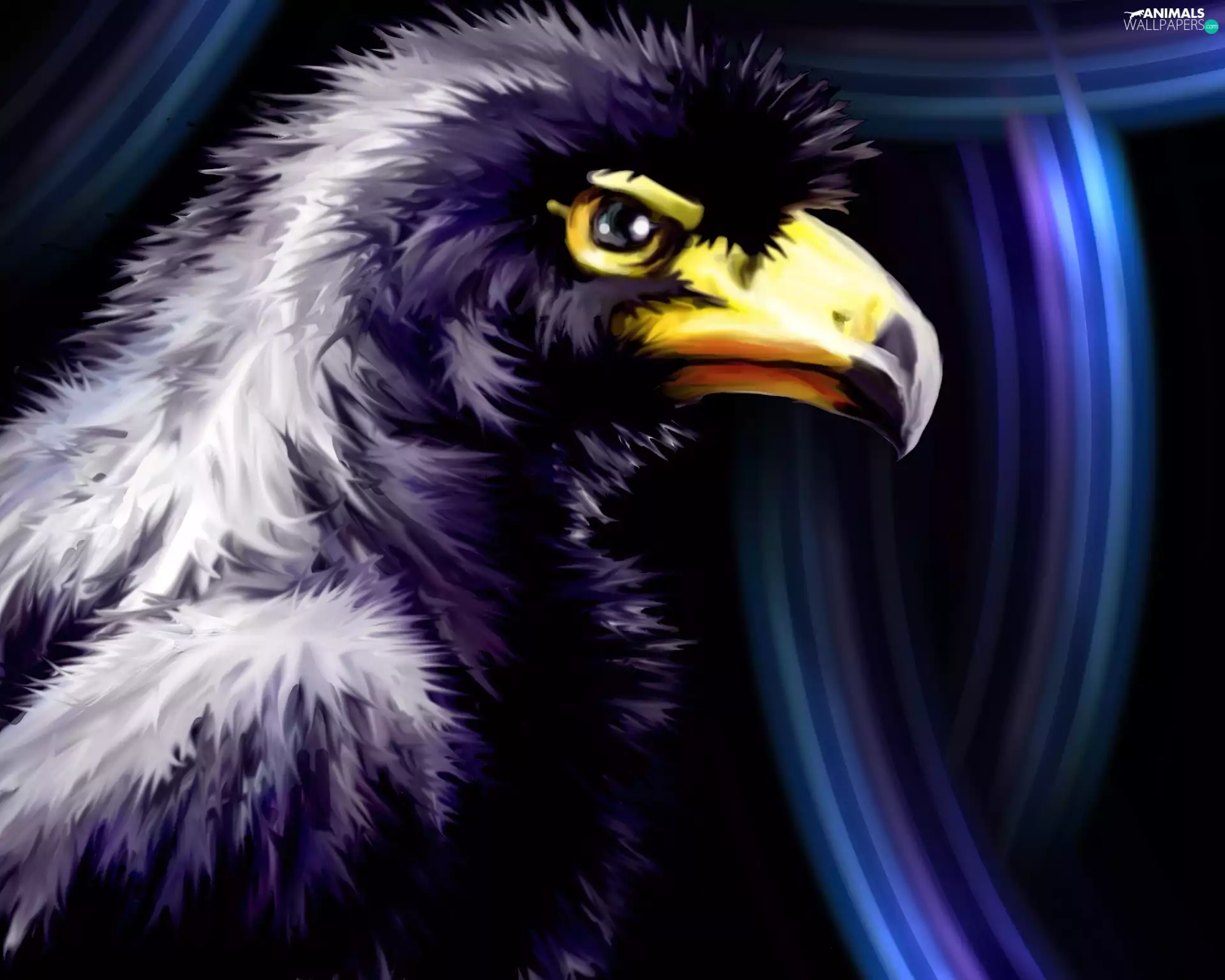 graphics, eagle, purple