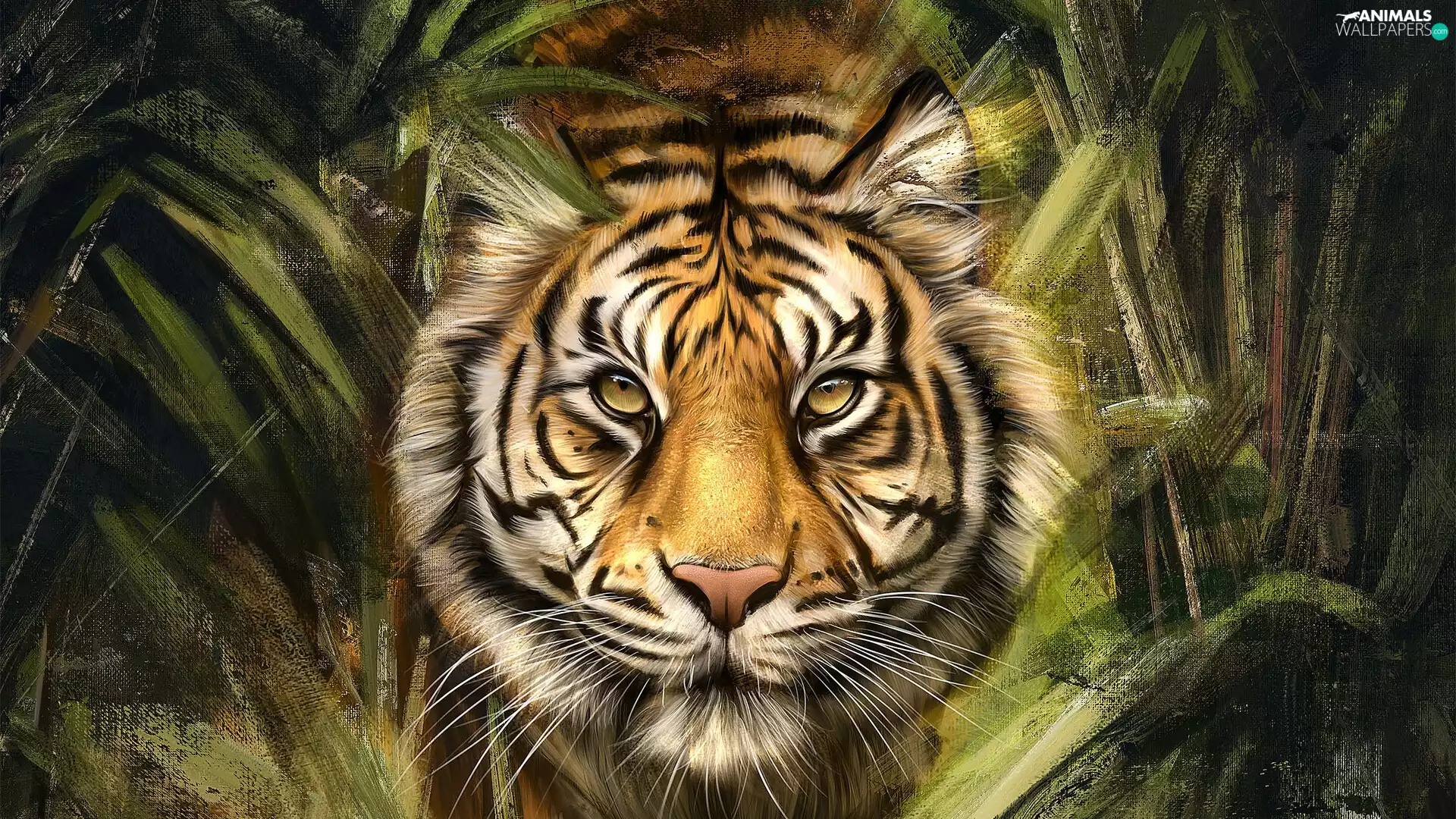 graphics, tiger, rapprochement