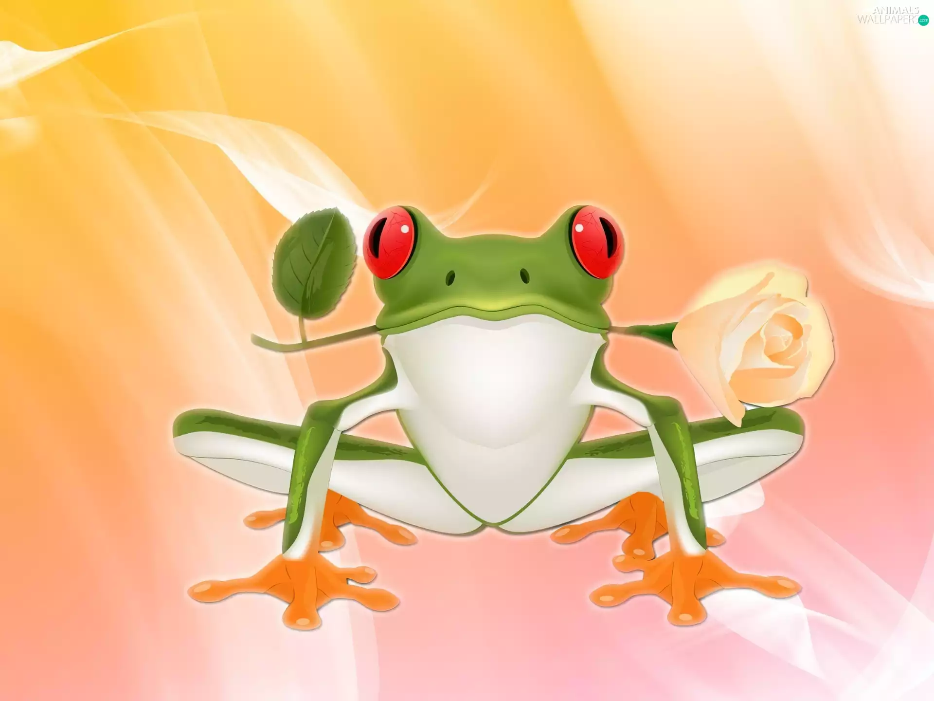 graphics, frog, rose