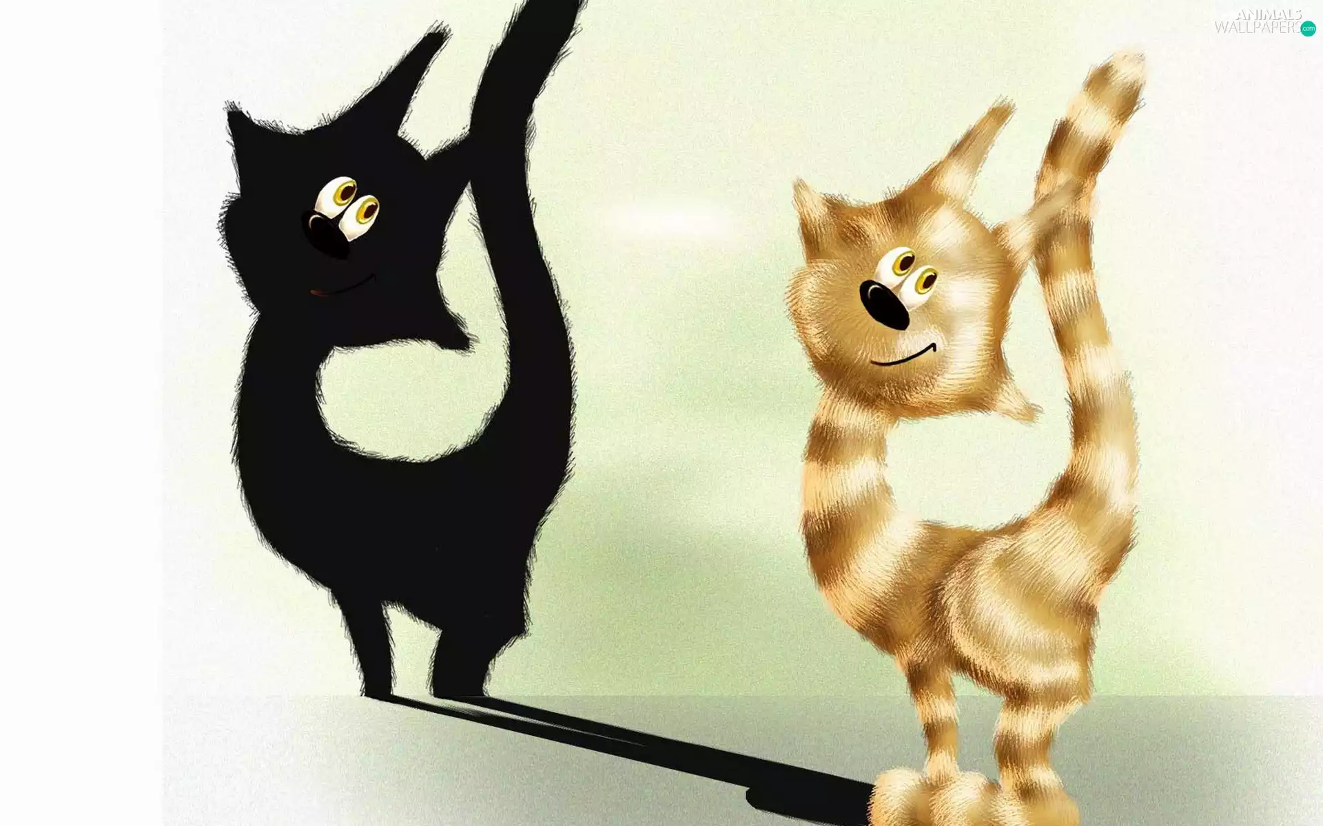 graphics, cat, shadow