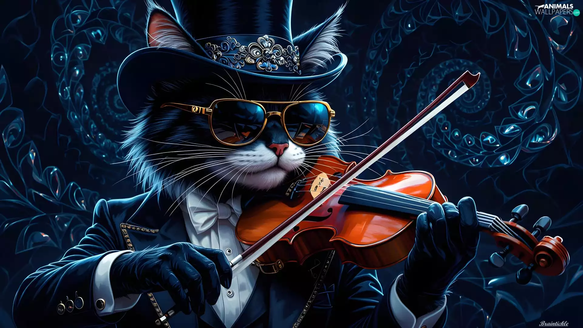 Glasses, cat, clothes, graphics, cylinder, violin