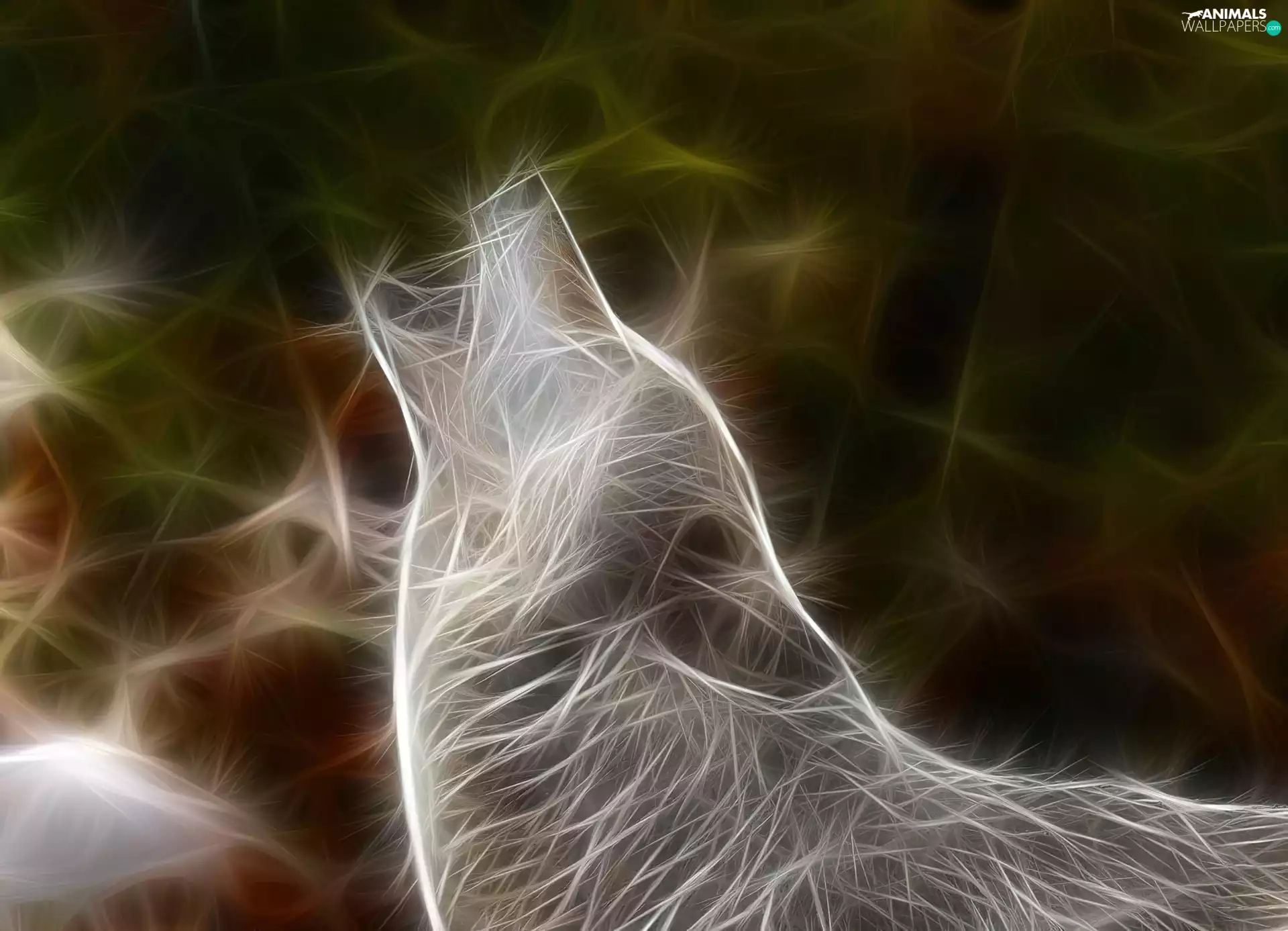 graphics, howling, Wolf