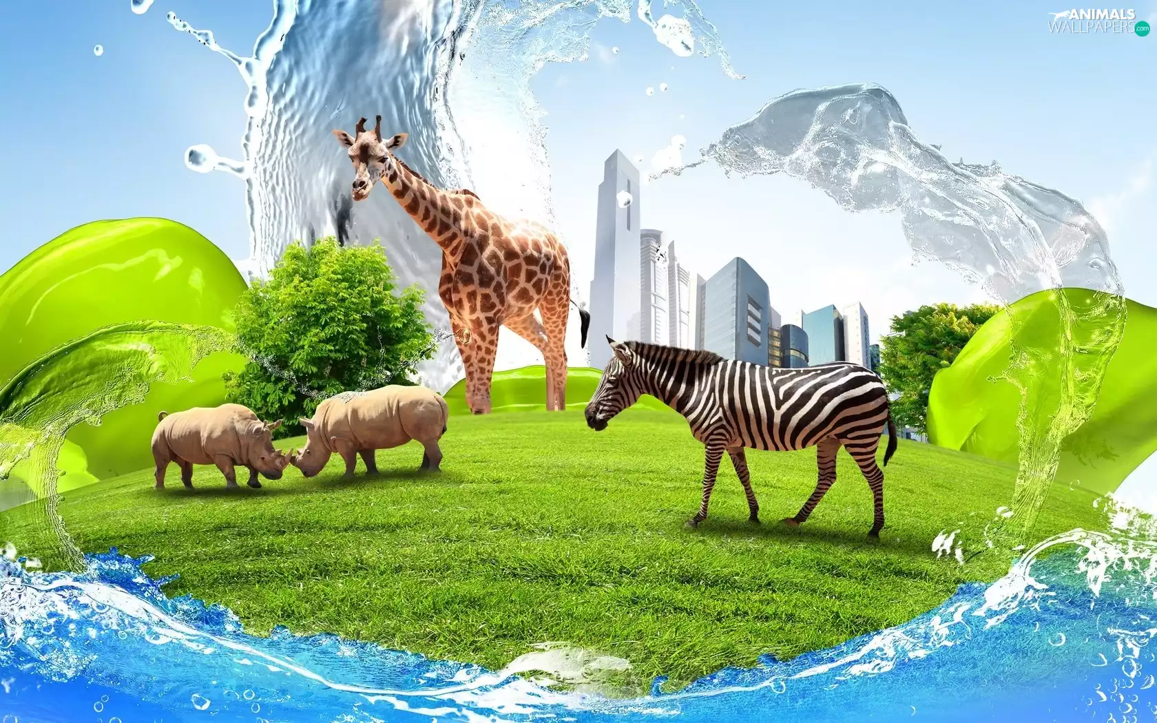 Rhinos, Zebra, clouds, grass, skyscrapers, giraffe