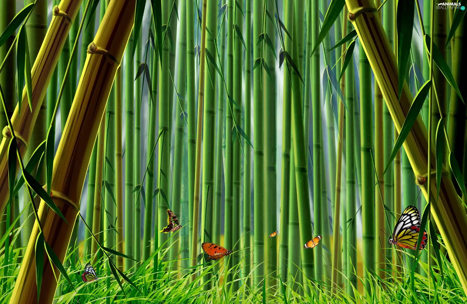 grass, butterflies, Plants