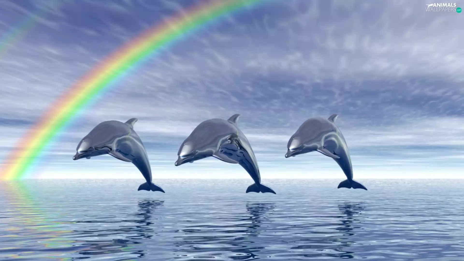 water, 3D, dolphins, Great Rainbows, Three