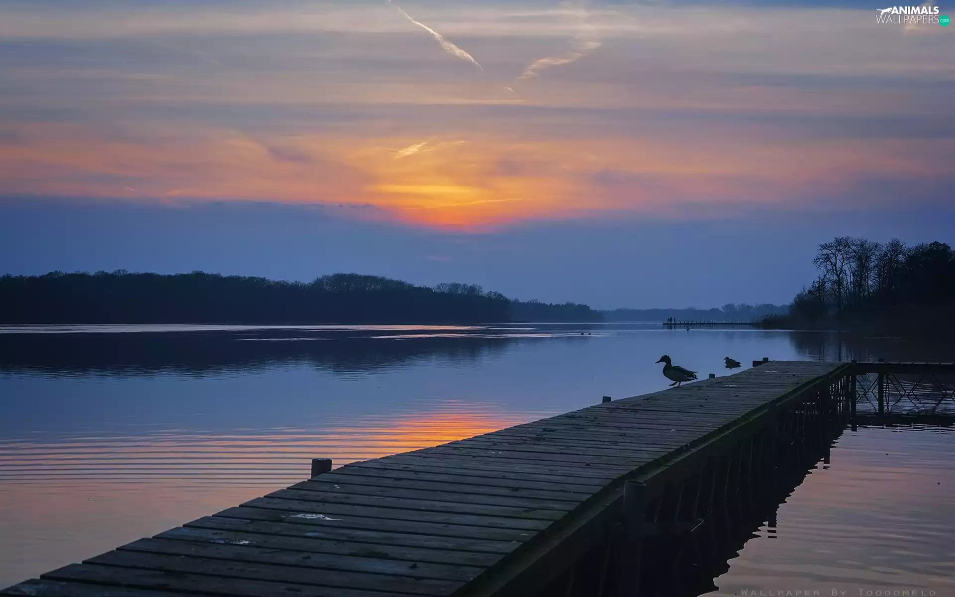 Platform, ducks, Wielkopolska, Great Sunsets, Lake Lusowskie