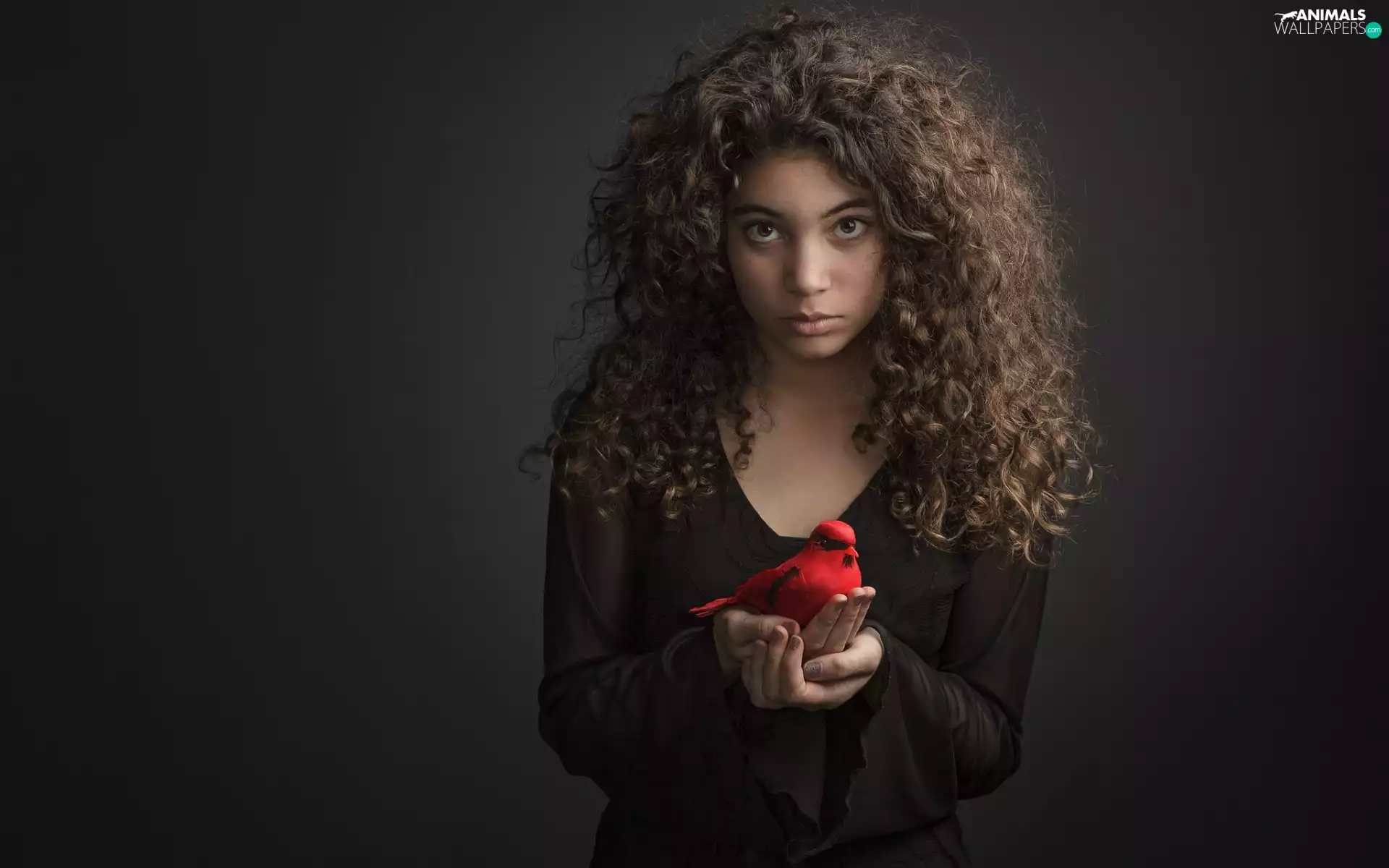 make-up, sad, Hair, birdies, beatyfull, girl