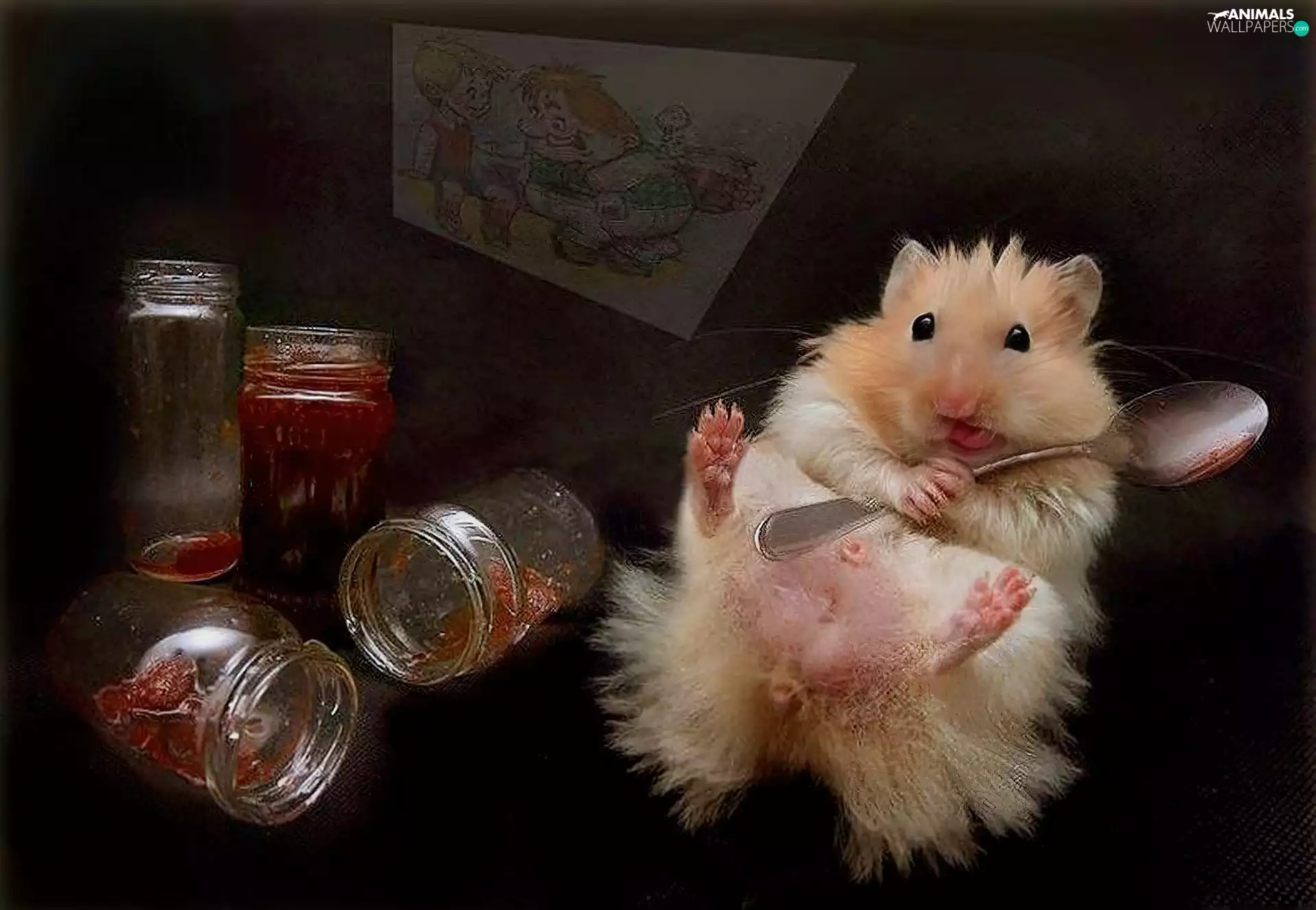 hamster, jam, fed