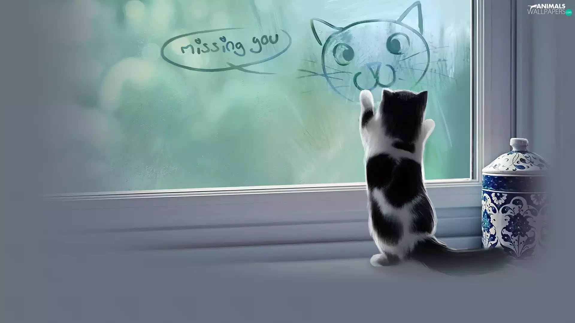 hankering, cat, Window