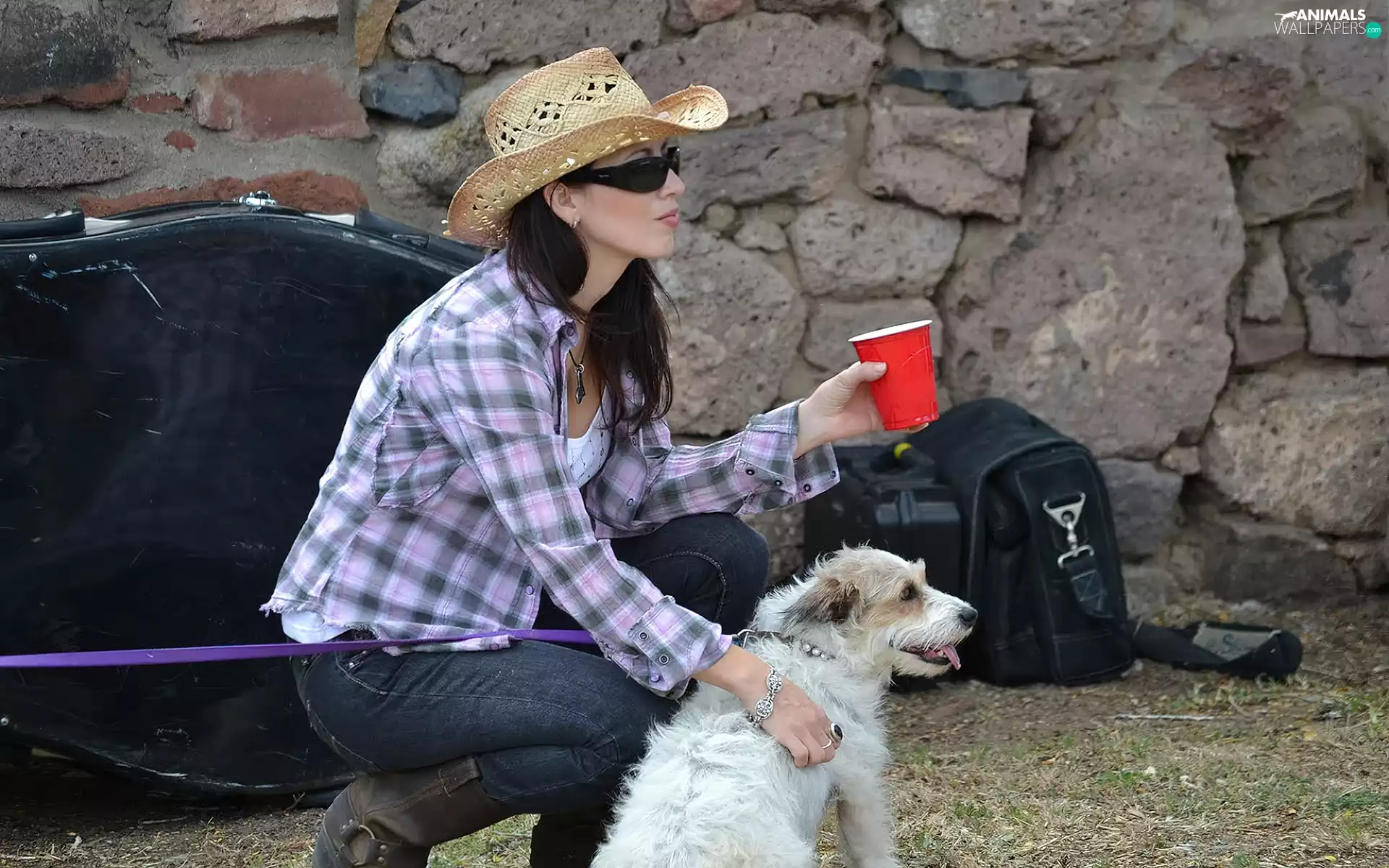 girl, Glasses, dog, Hat
