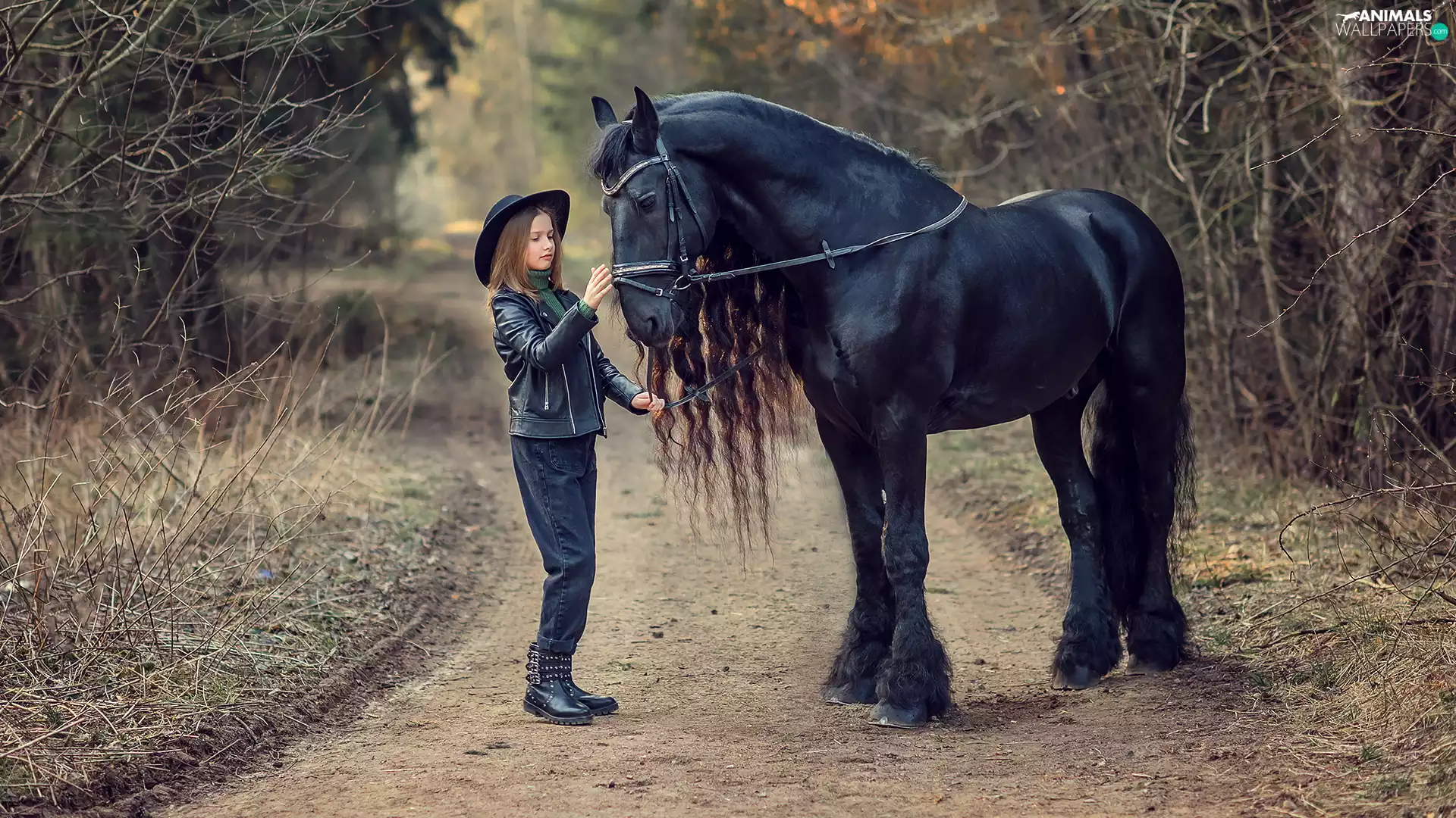 girl, Black, Horse, Hat