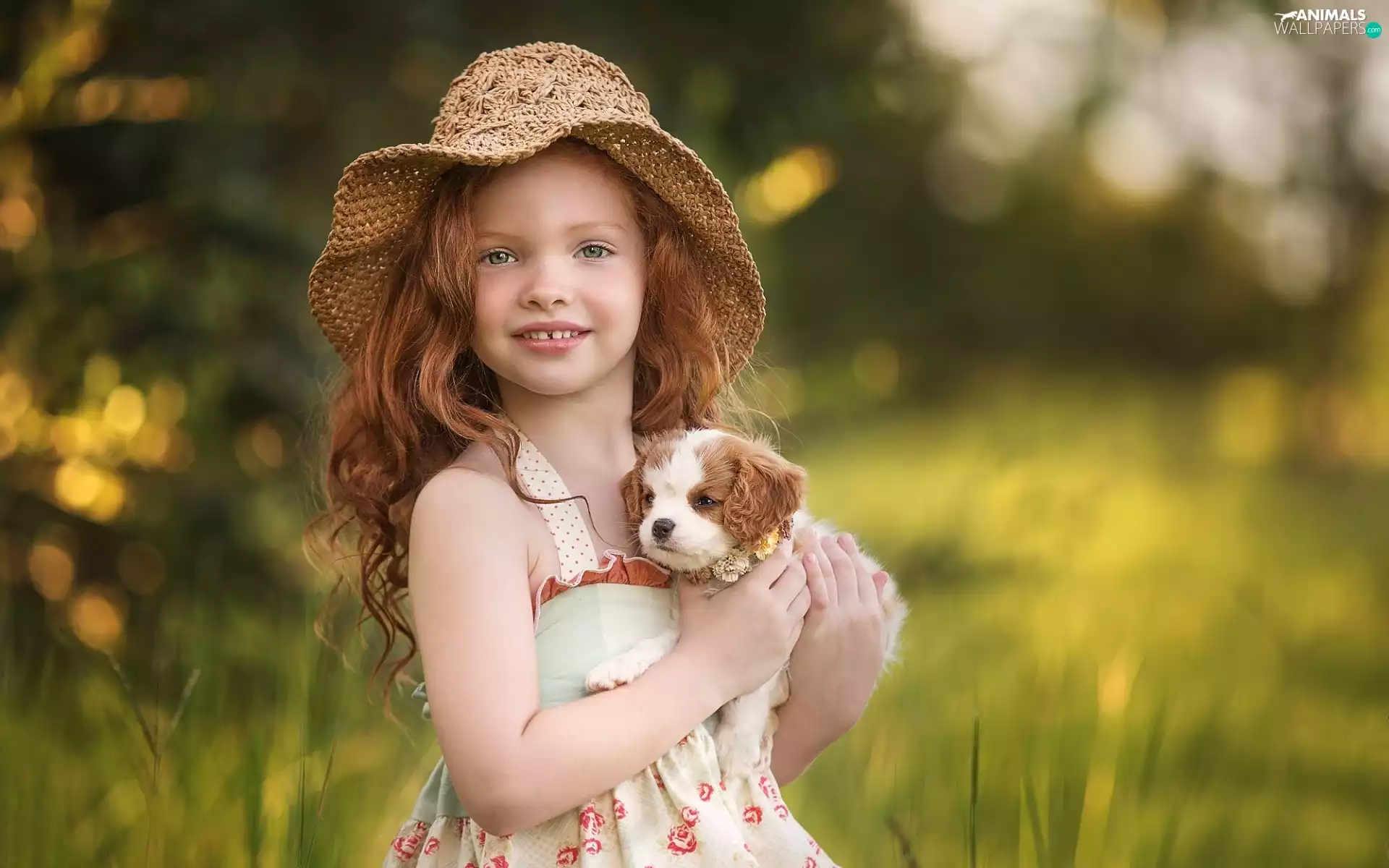 Puppy, Hat, girl, doggy, Kid