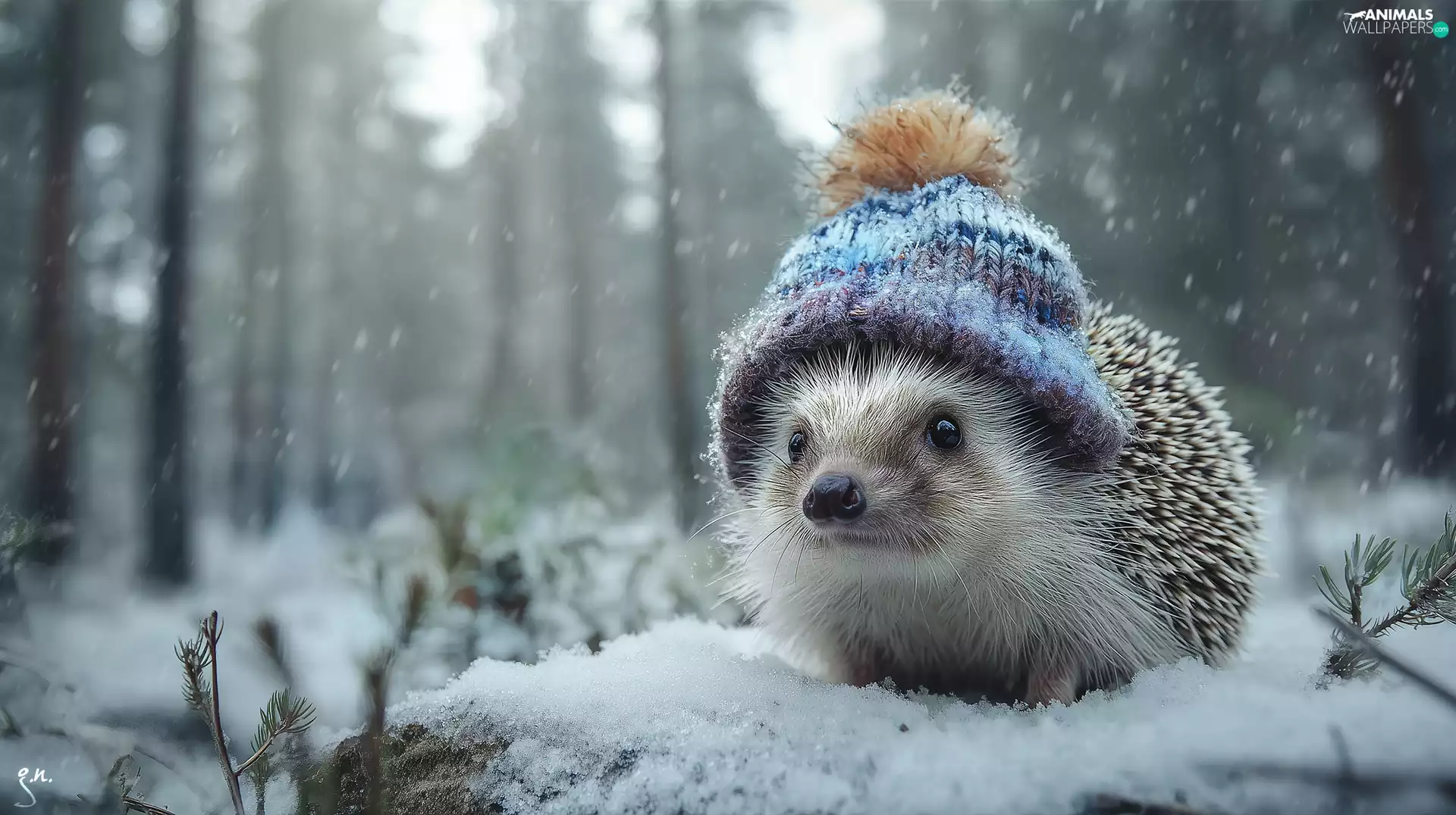 hedgehog, winter, graphics, Hat