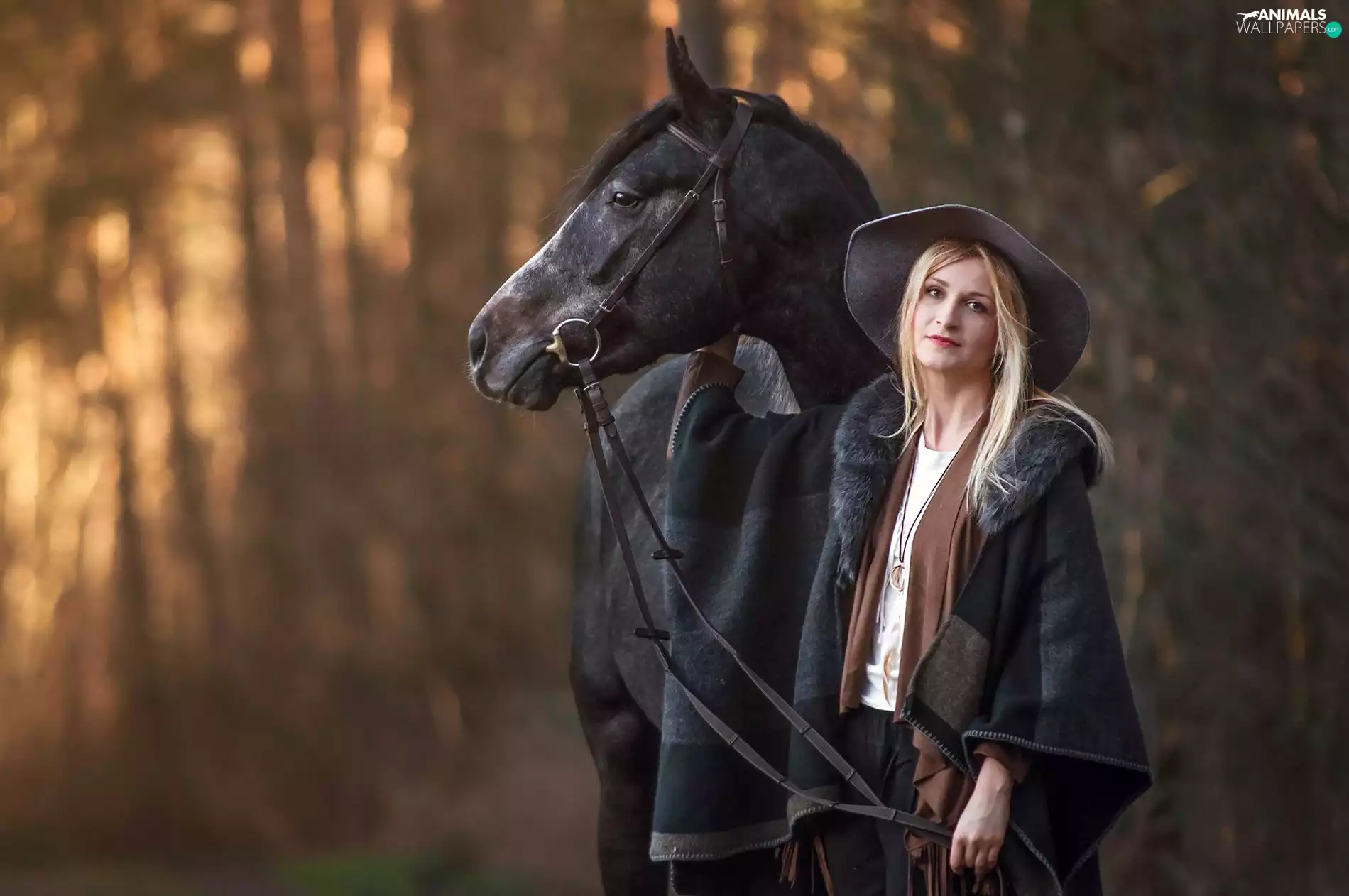 forest, Hat, Horse, Women, Black