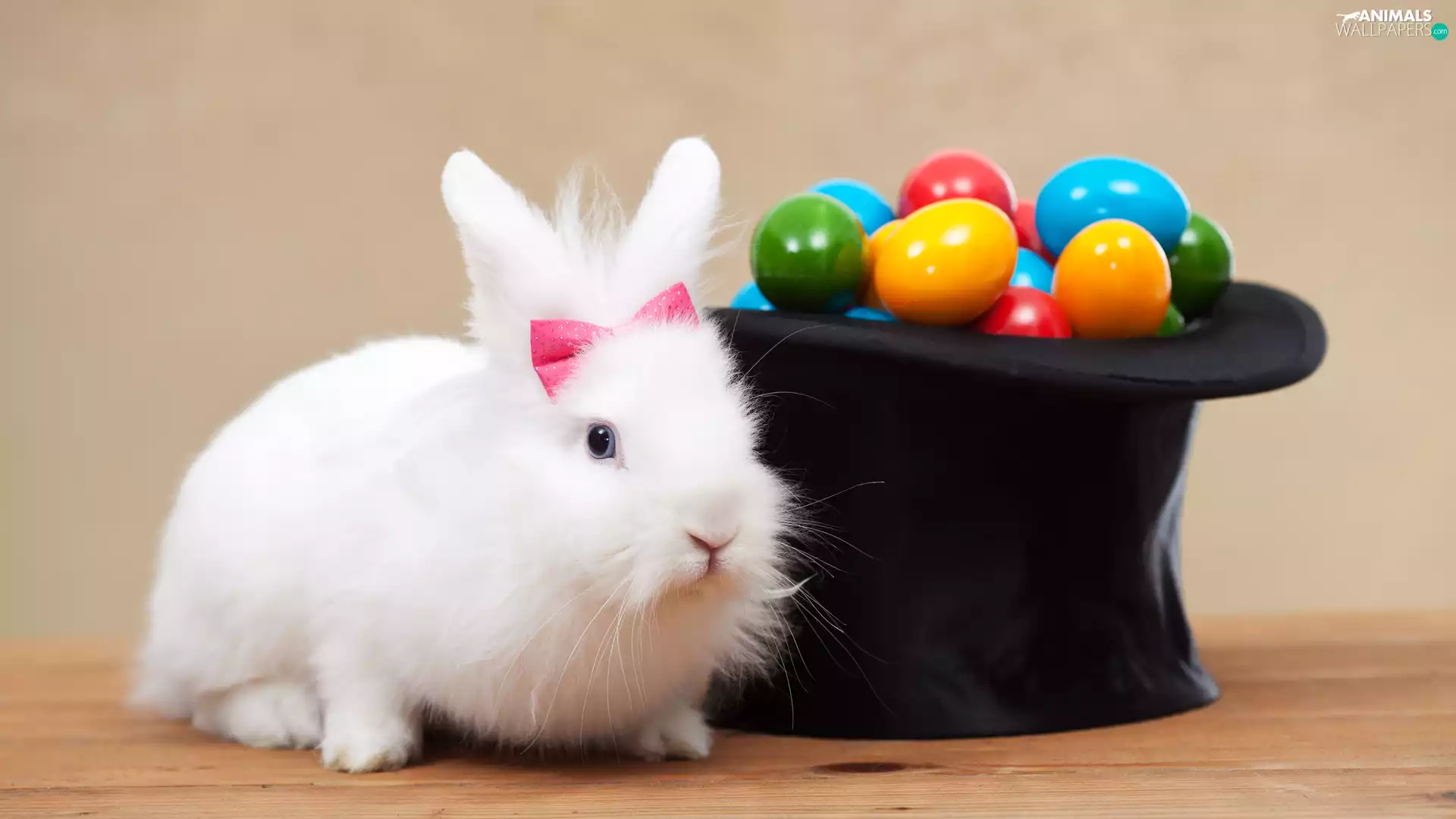 Rabbit, Easter, eggs, Hat