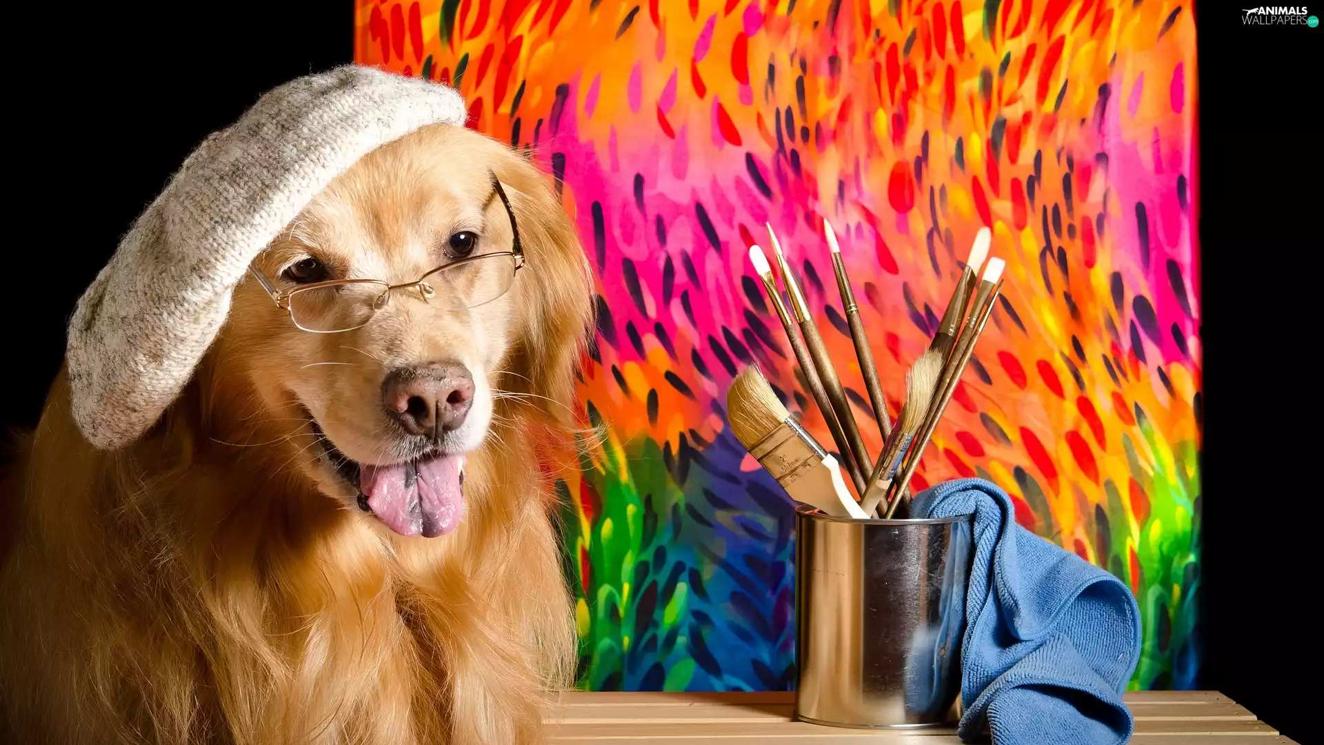 Hat, Glasses, picture, Brushes, cloth, Golden Retriever, dog, Cup
