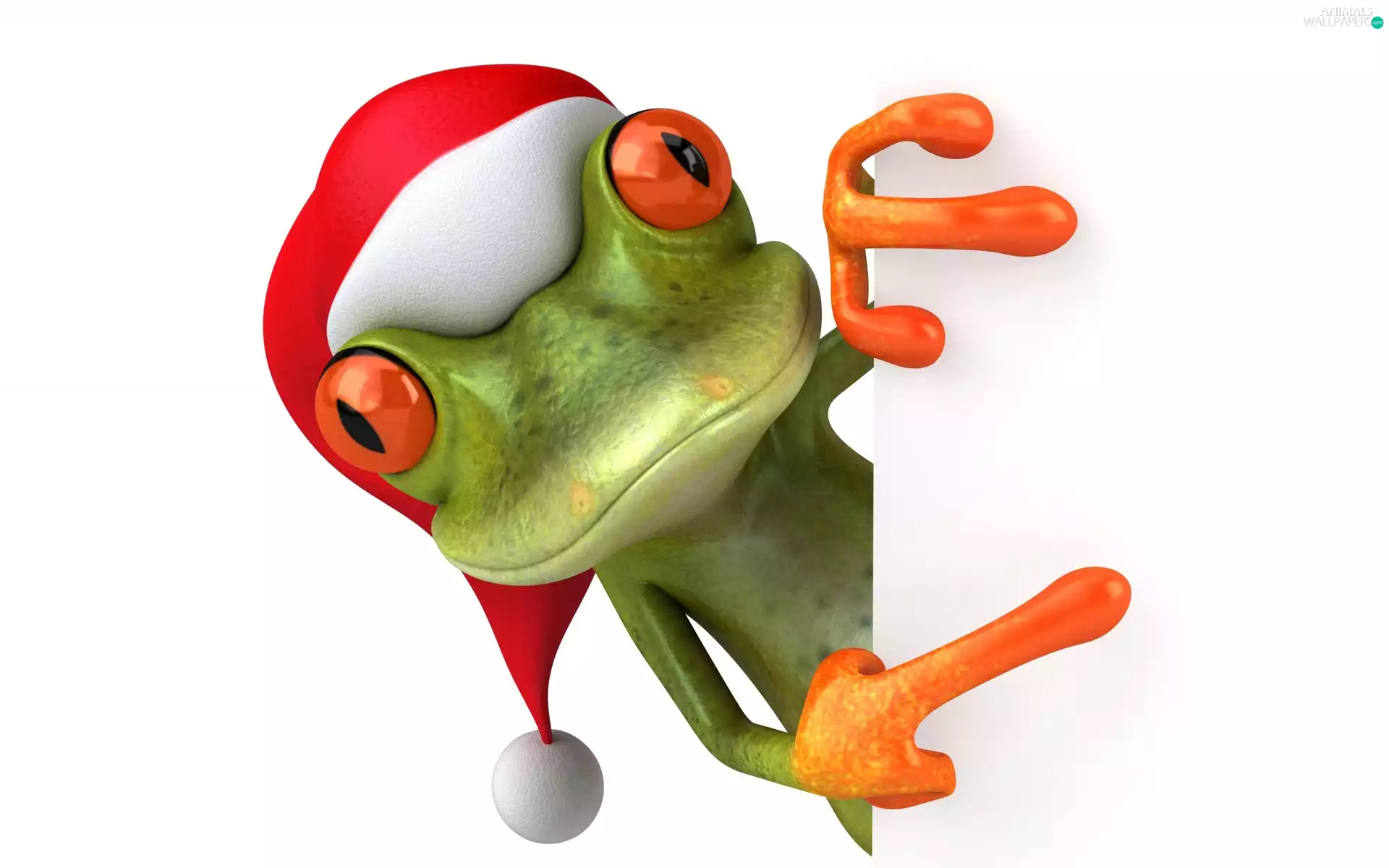 Santa, strange frog, Hat