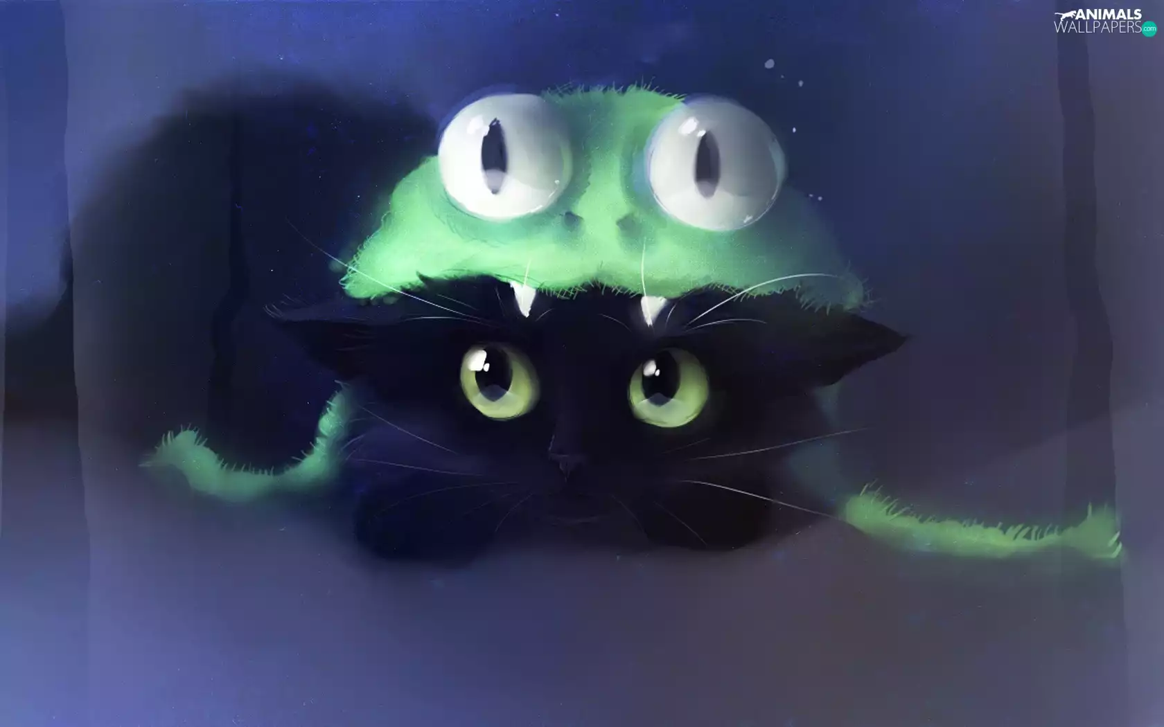 strange frog, cat, Hat