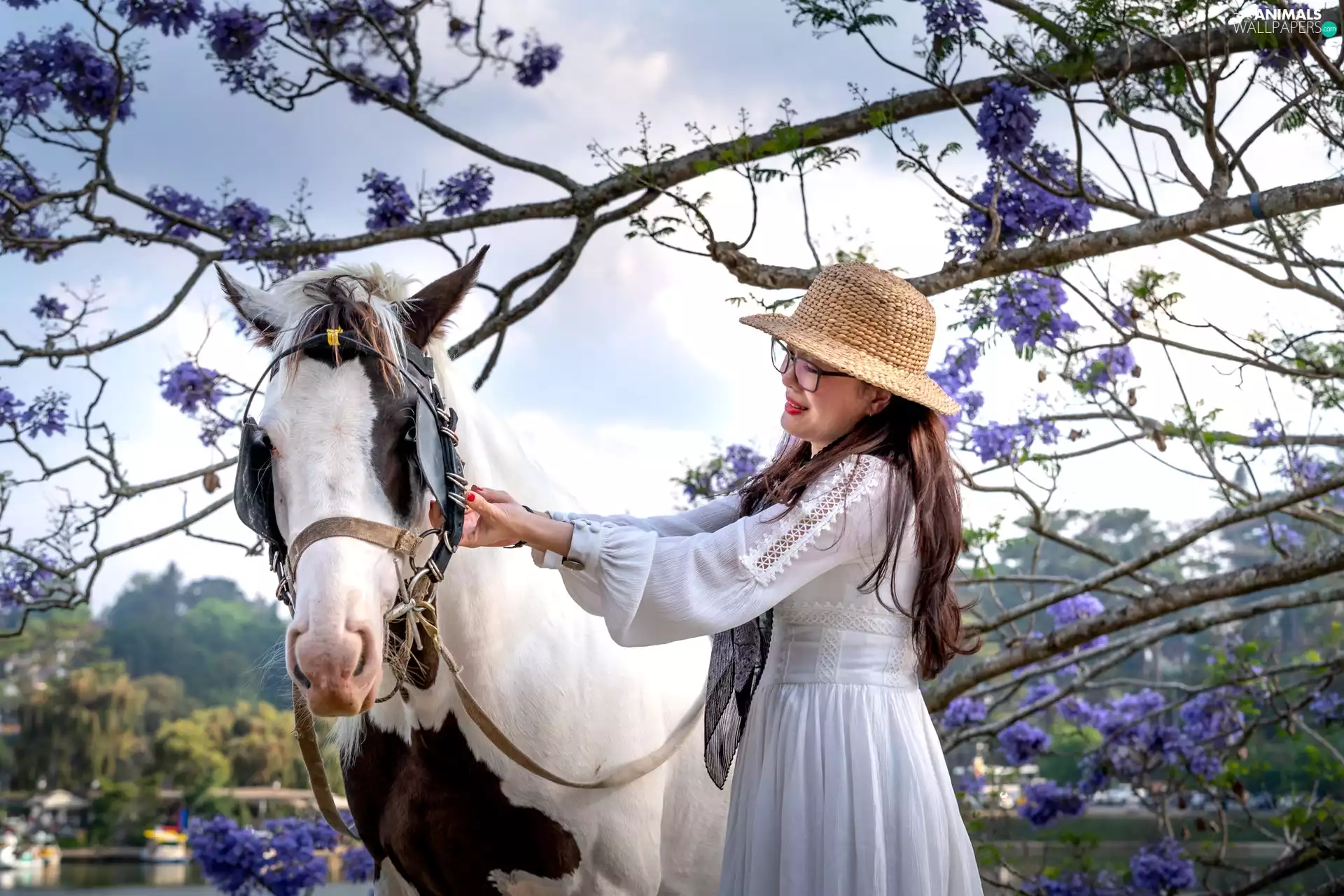 Women, Horse, gear, Hat