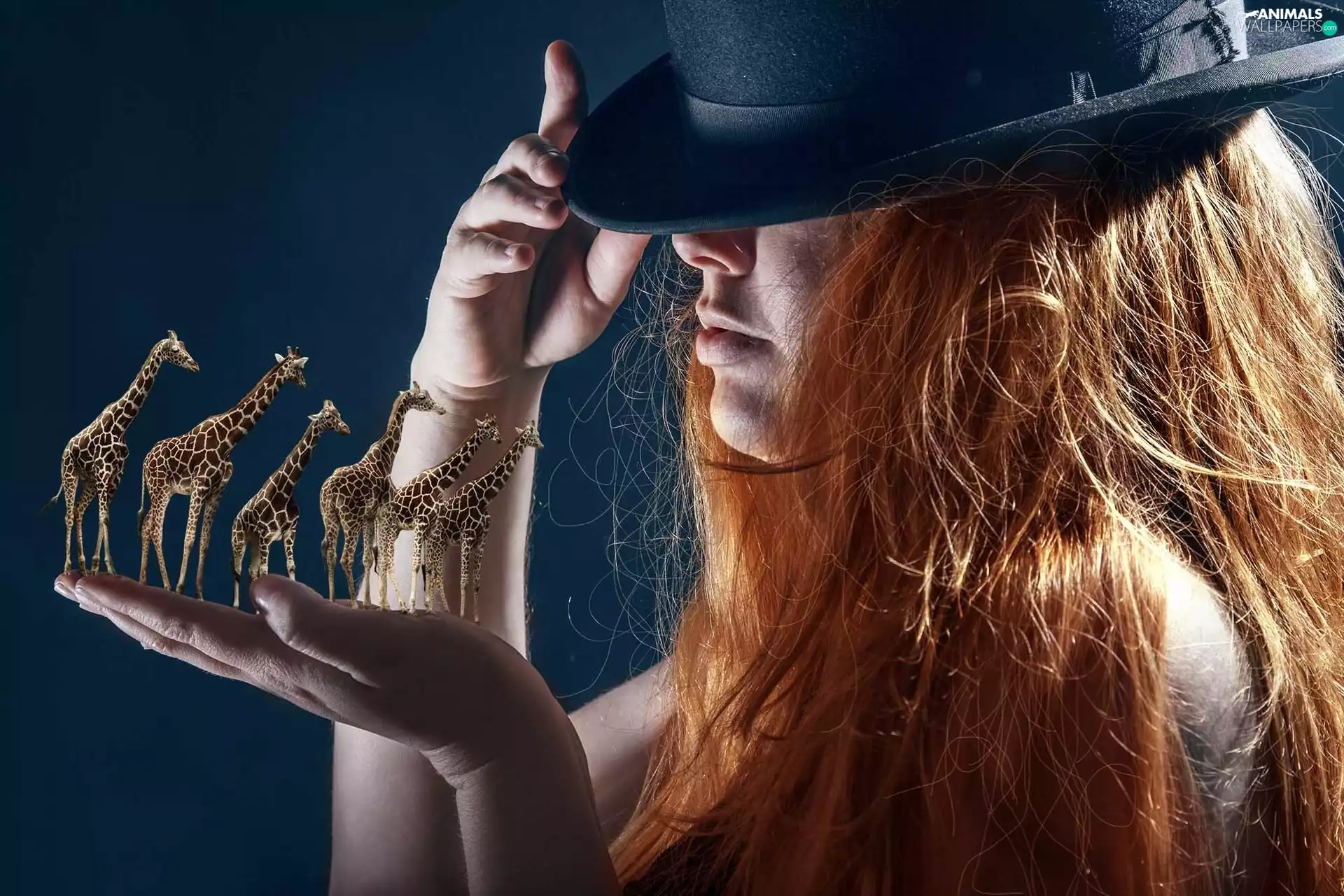 Women, hand, giraffe, Hat