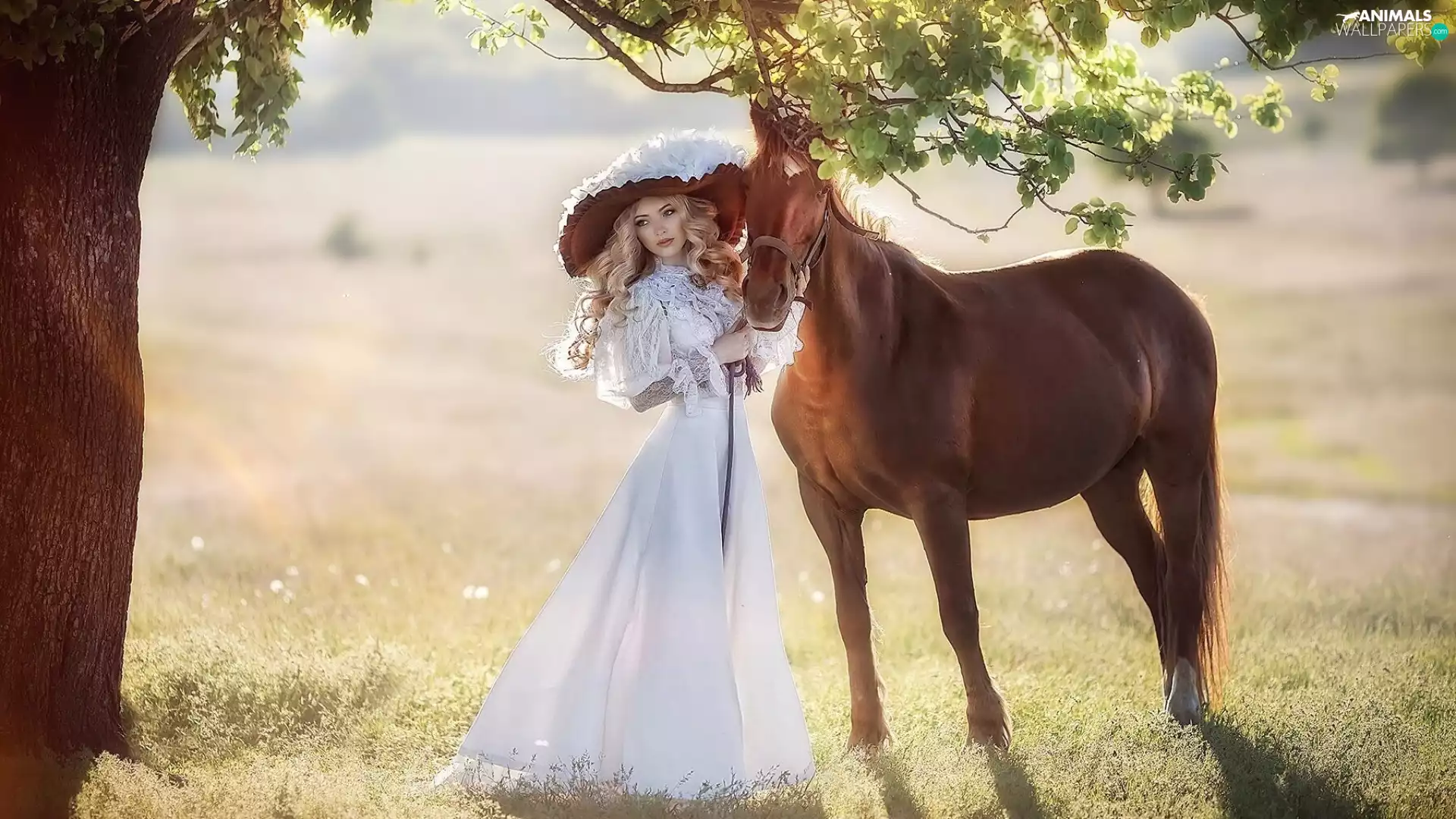 Women, Horse, trees, Hat