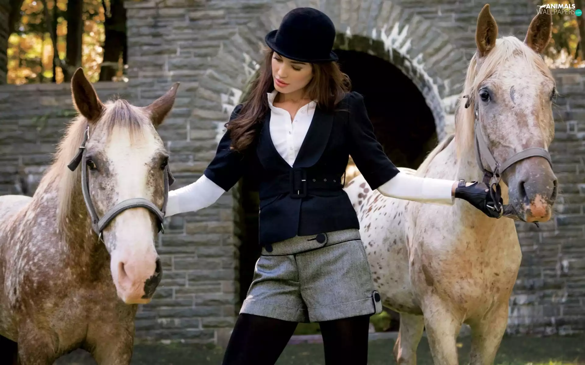 Women, bloodstock, wall, Hat