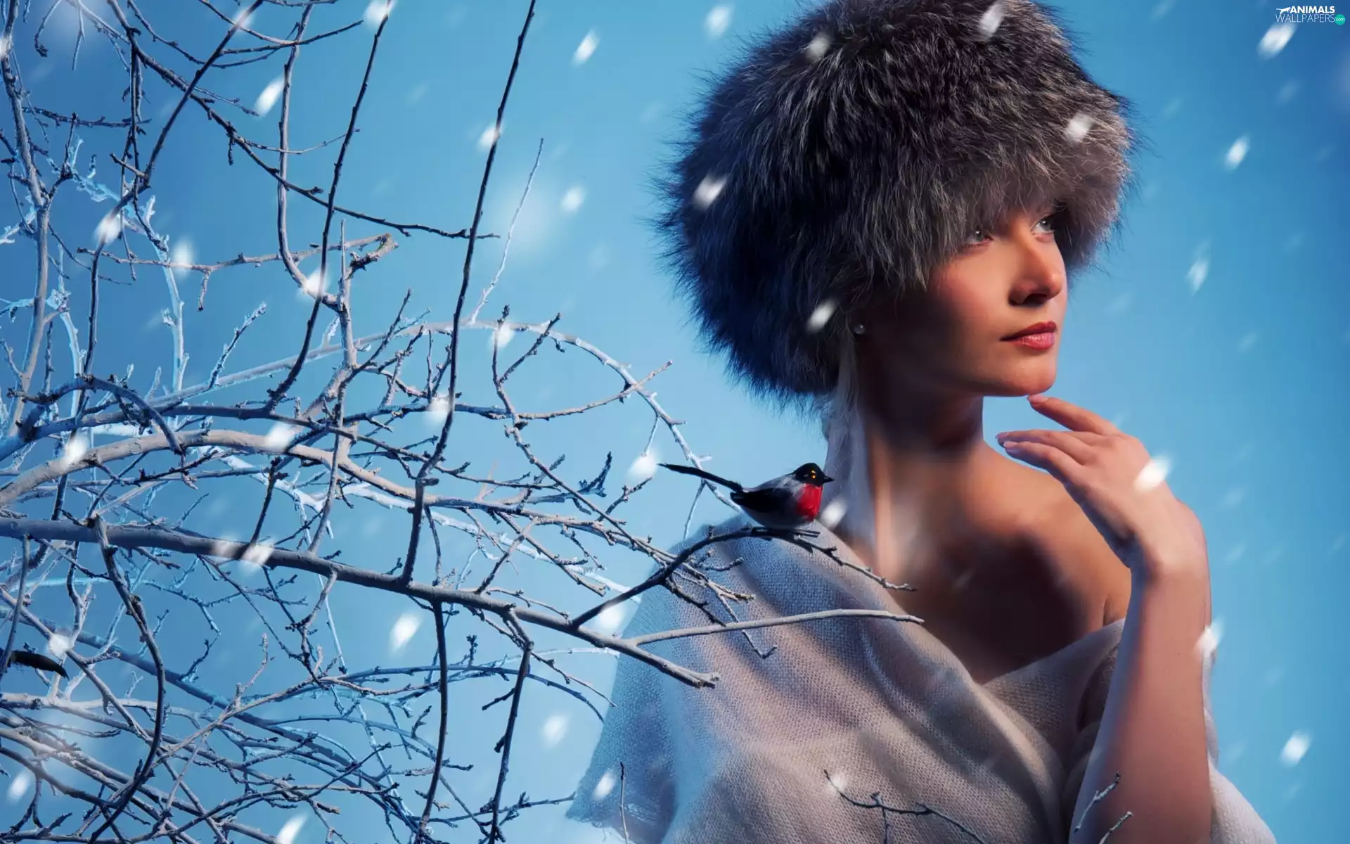 Women, Bird, winter, Hat