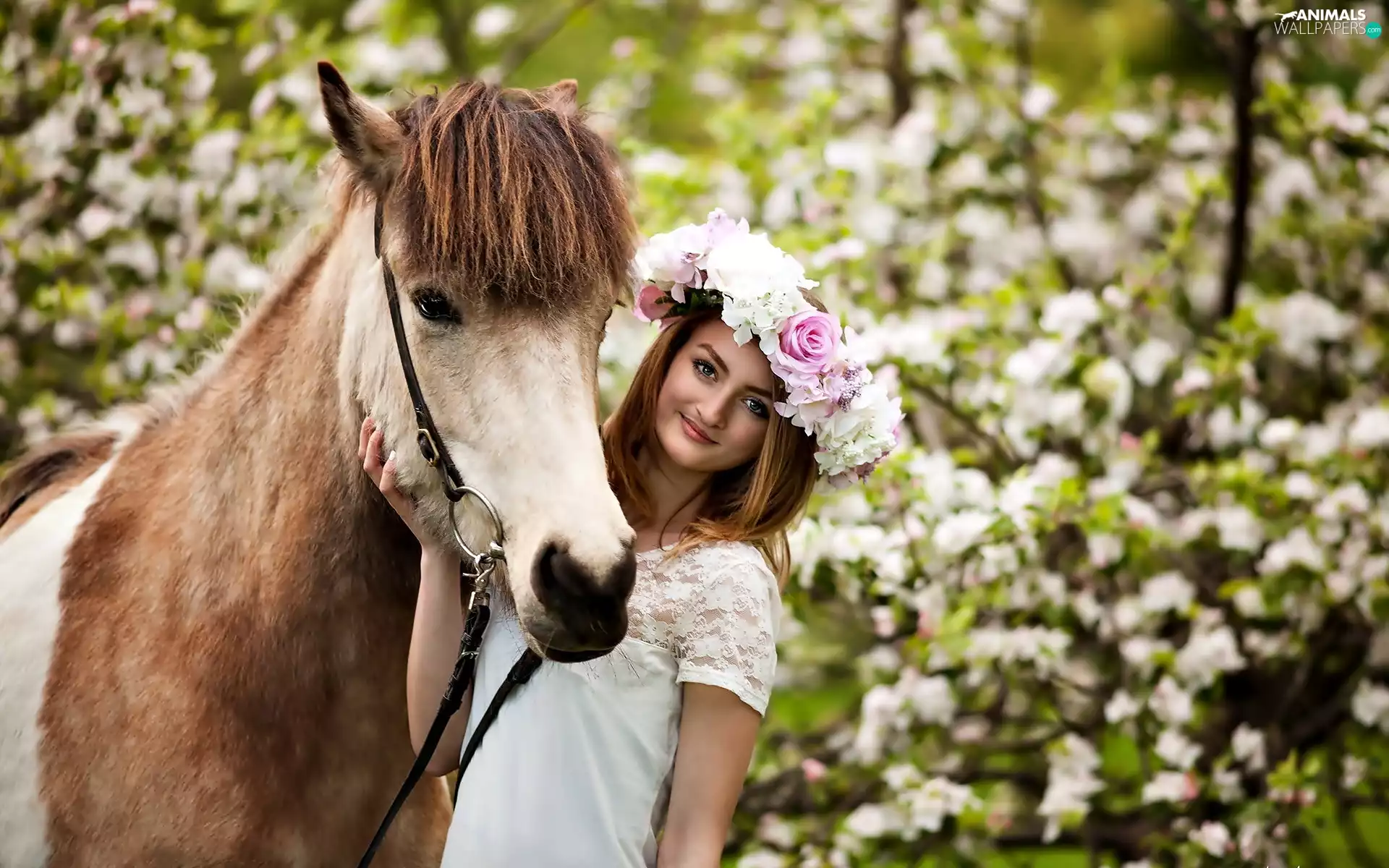 Horse, Women, wreath, Head