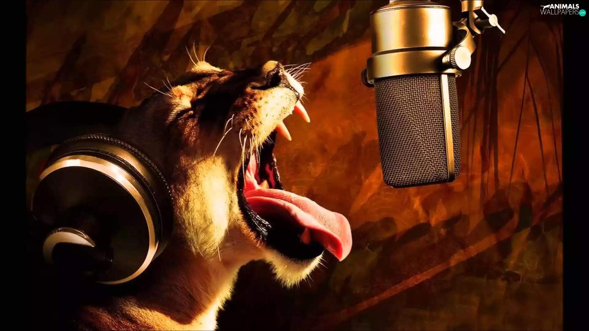 Lion, Mike, ##, HEADPHONES