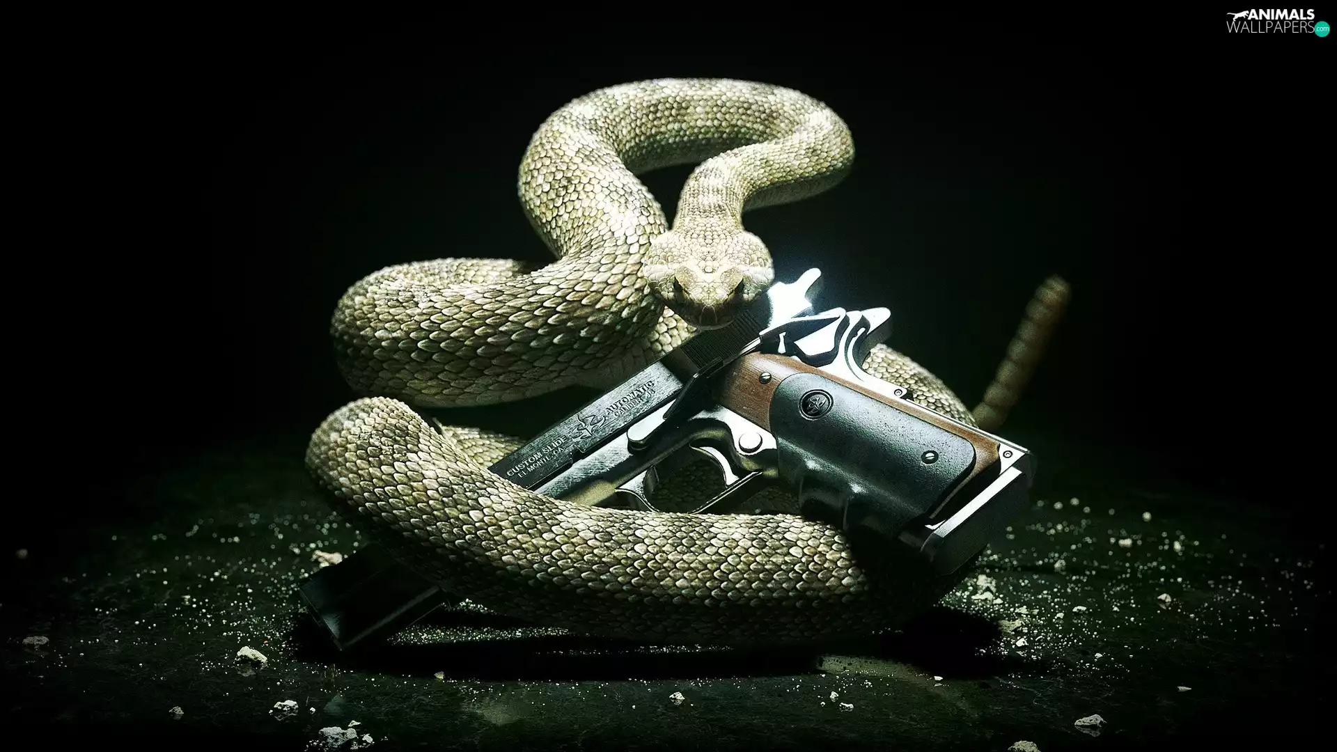 Hitman Absolution, Snake
