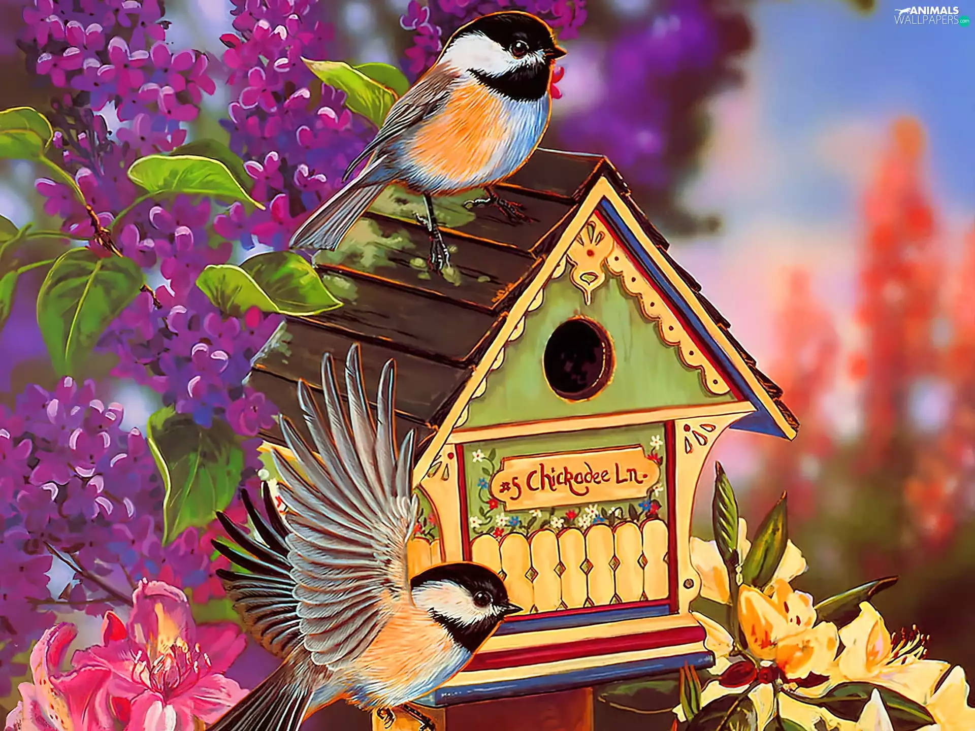 birds, Flowers, picture, Home