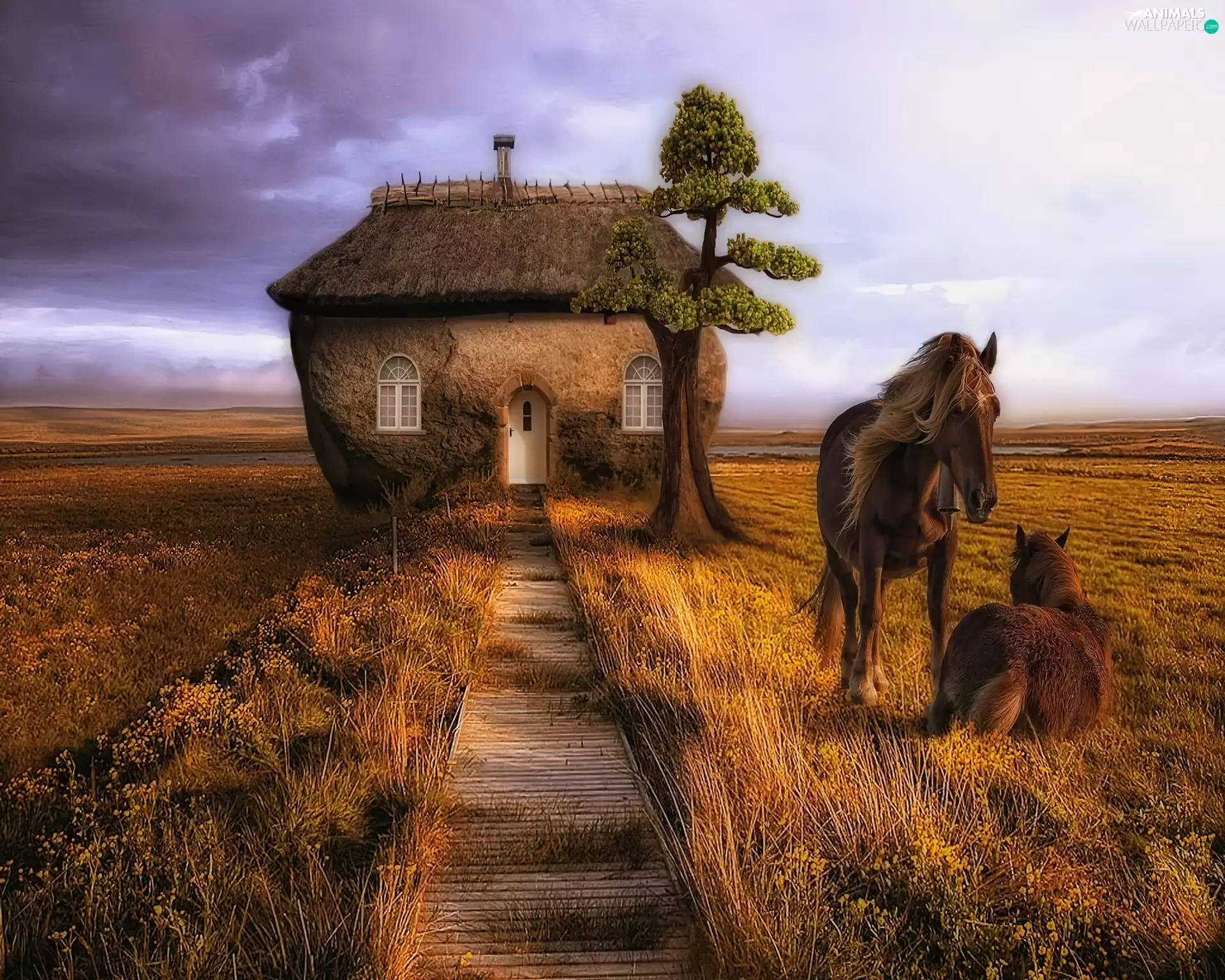 bloodstock, Clouds, Sky, Home