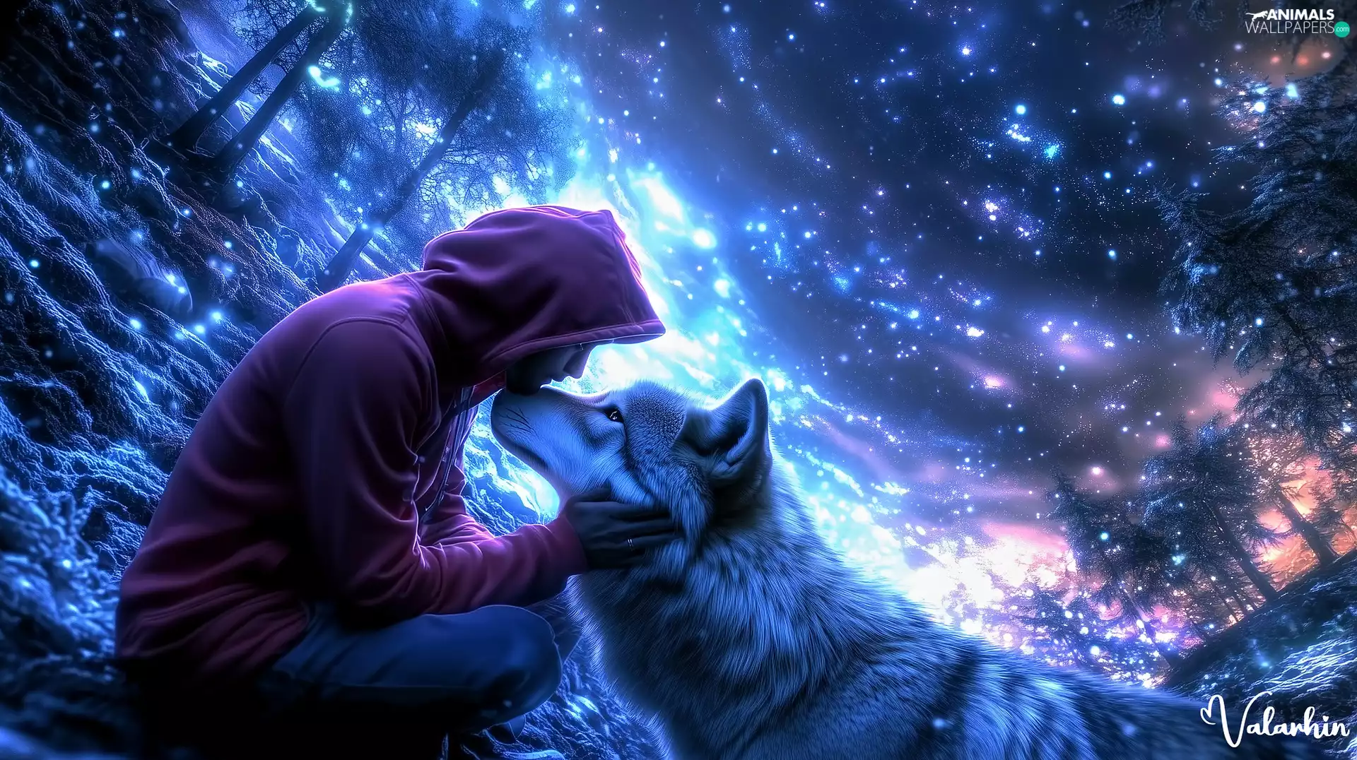 Human, Wolf, forest, hood